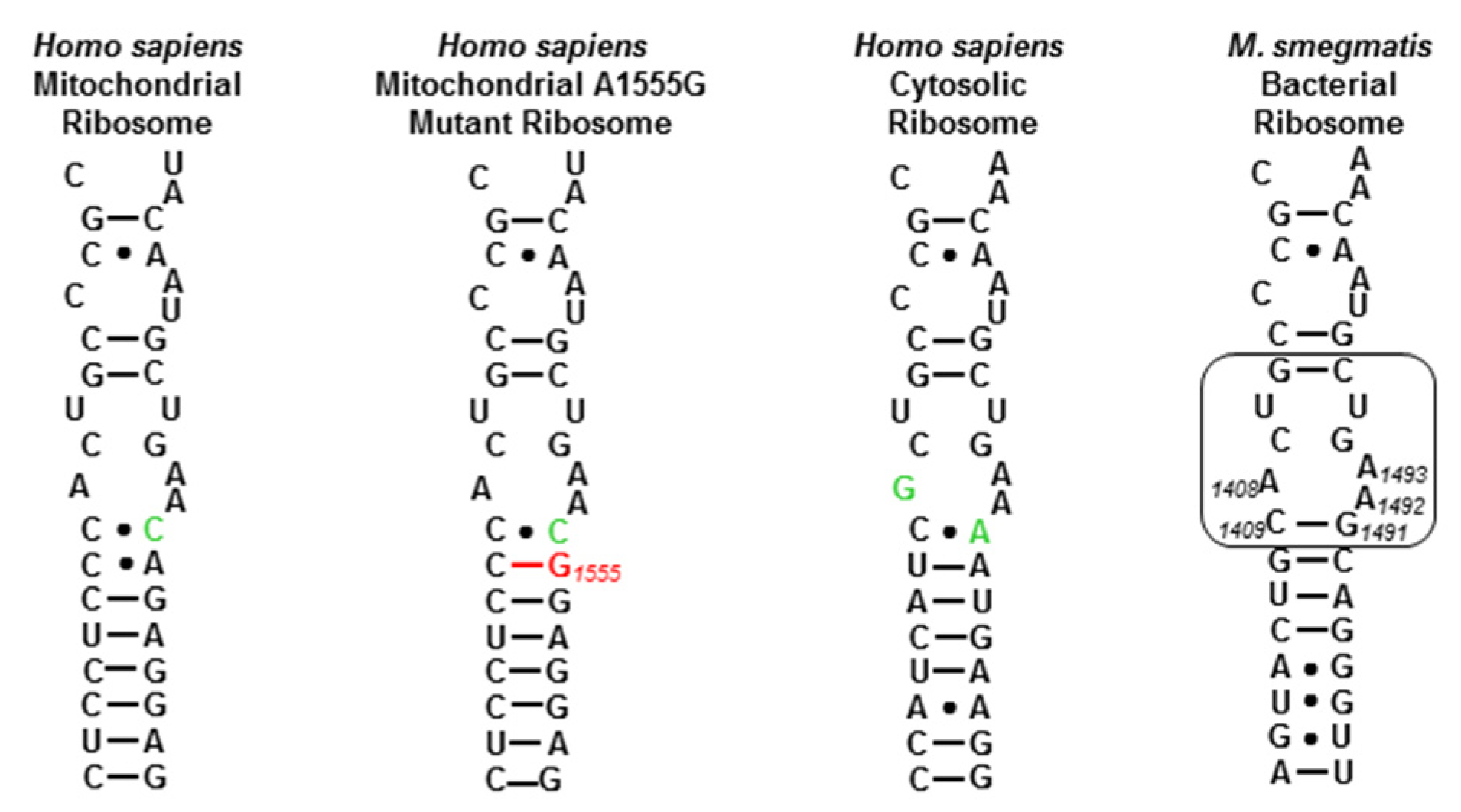 Antibiotics 12 00025 g002