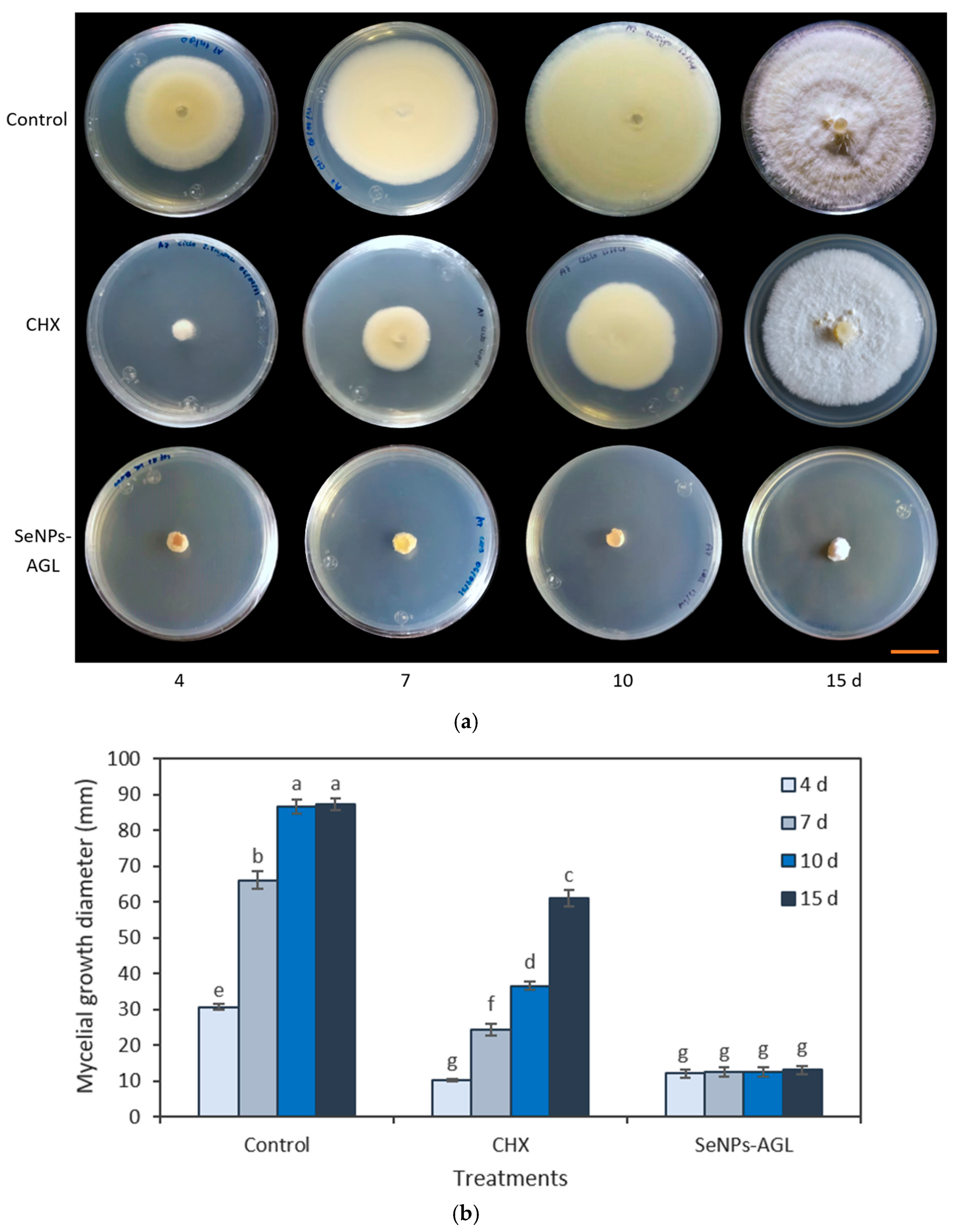 Antibiotics Free Full Text Antifungal Activity of Selenium