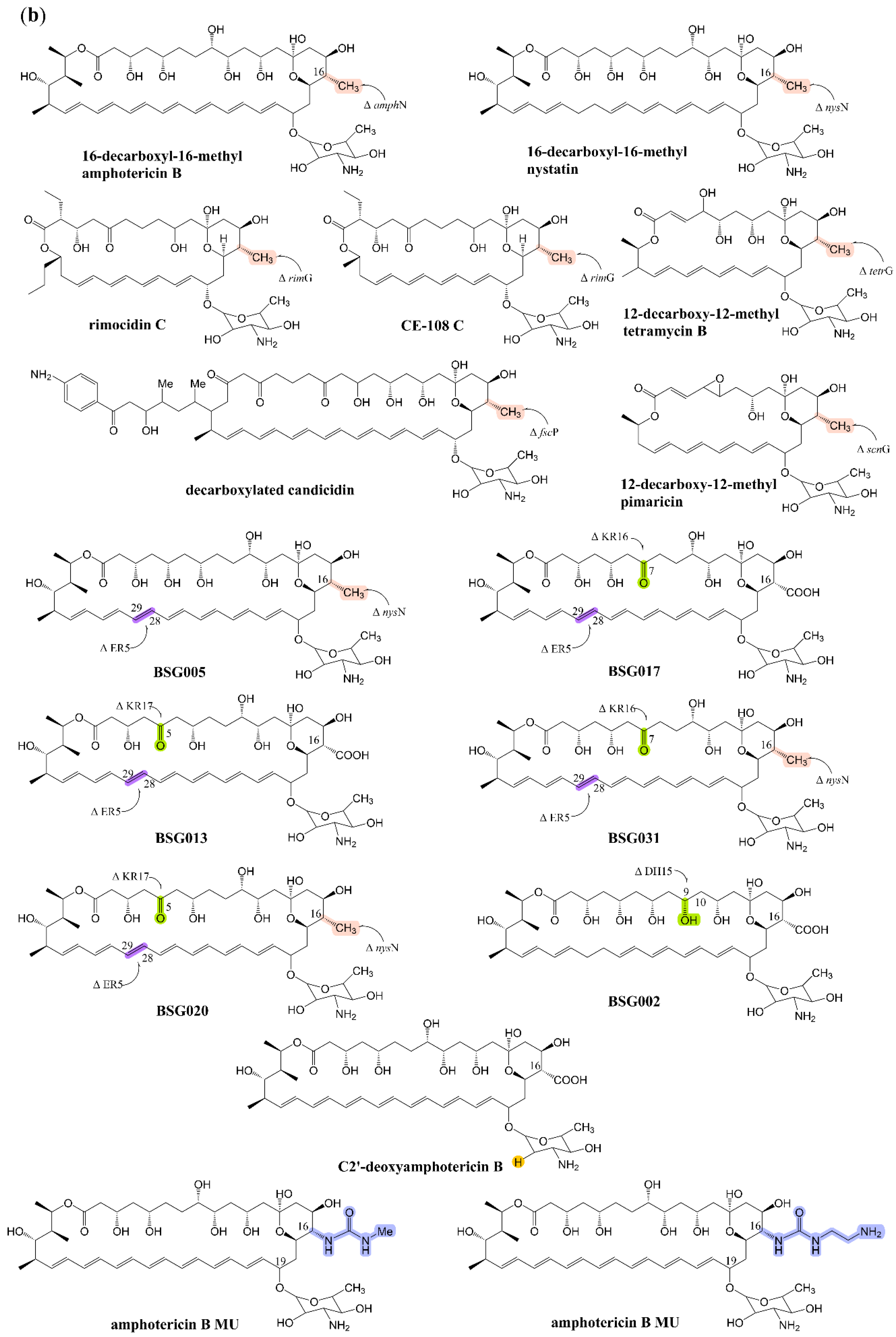 Antibiotics 12 00119 g001b