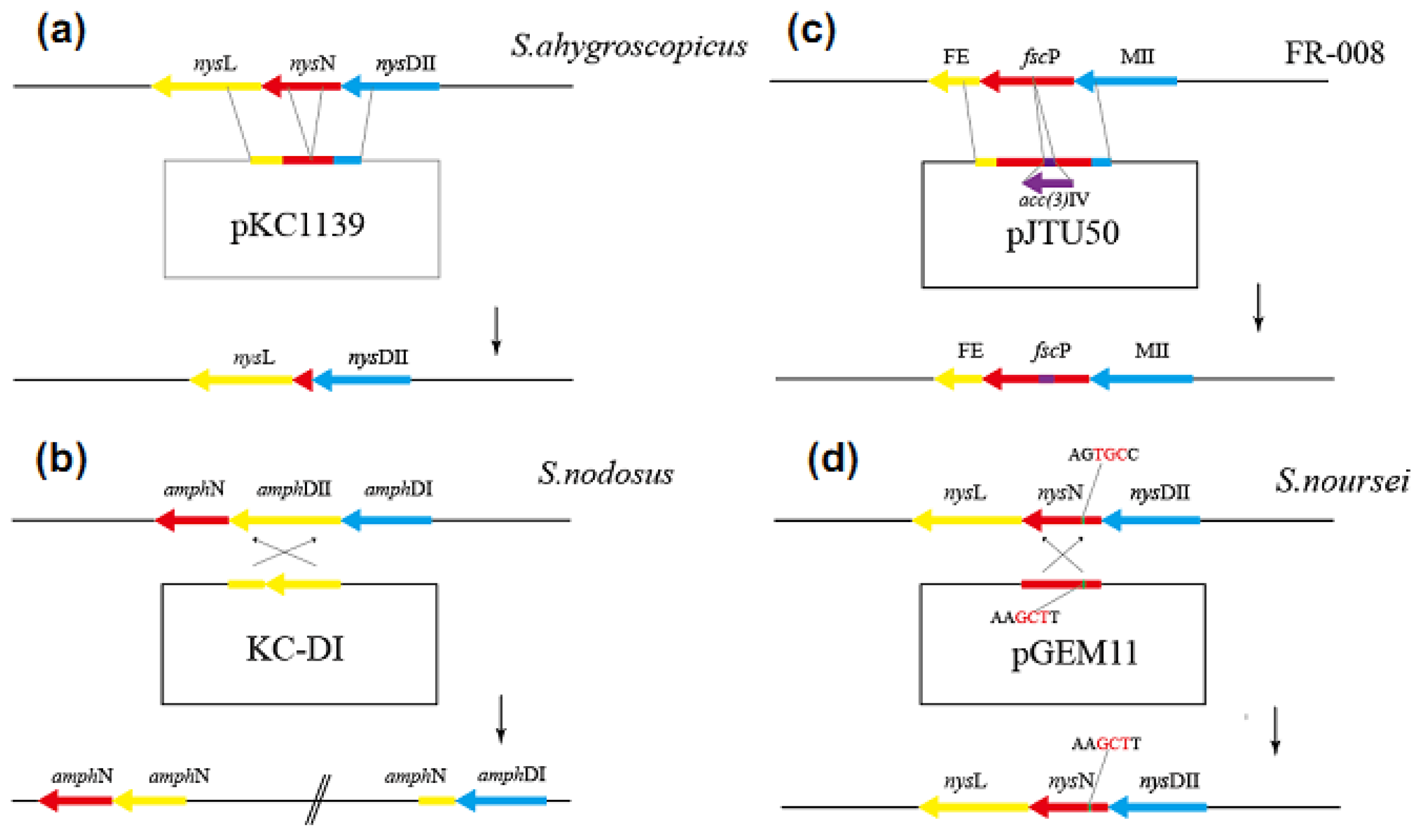 Antibiotics 12 00119 g004
