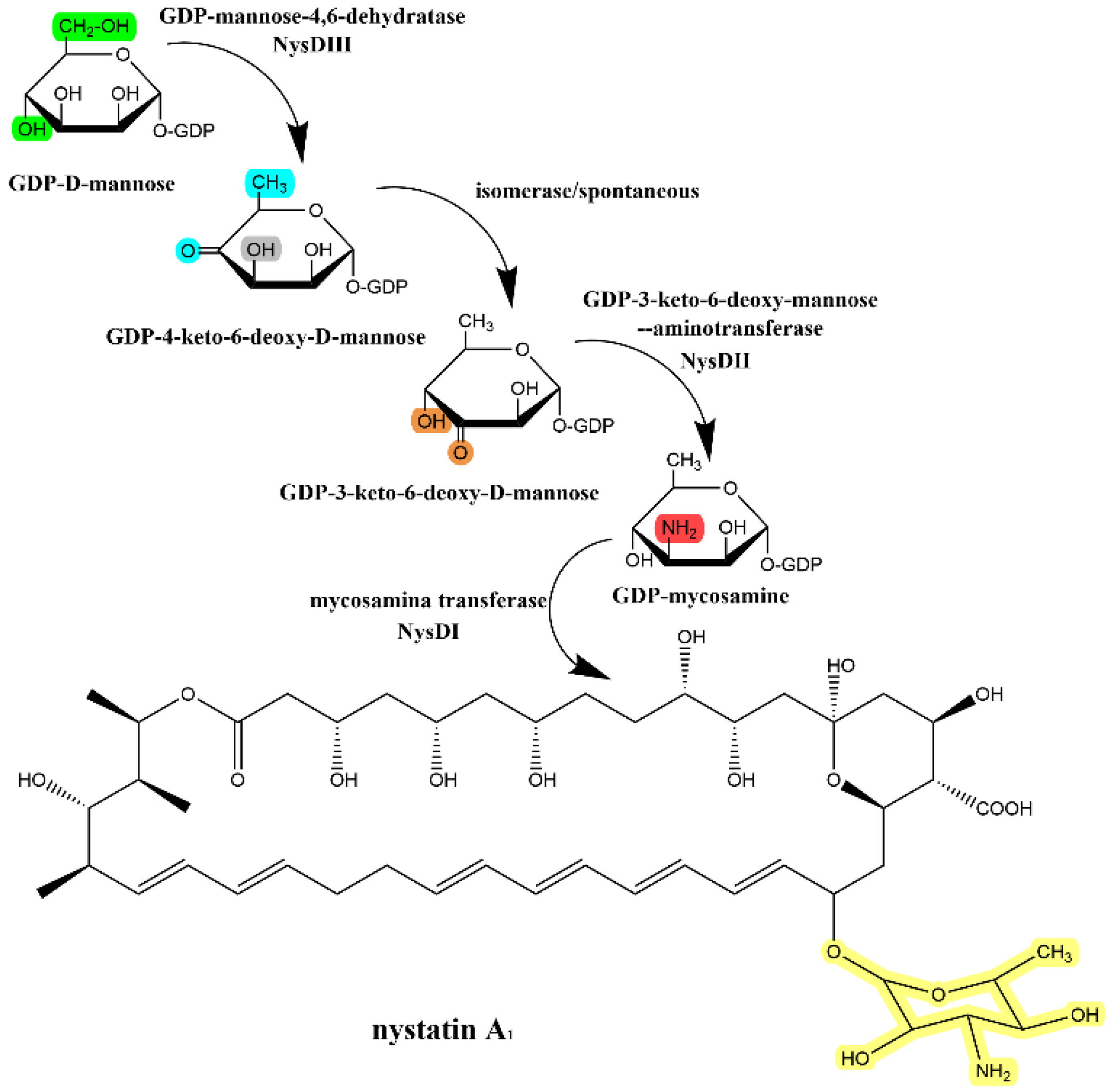 Antibiotics 12 00119 g005
