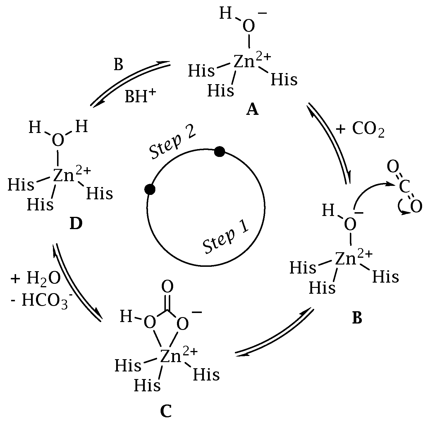 Antibiotics 12 00142 g002 Antibiotics 12 00142 g002