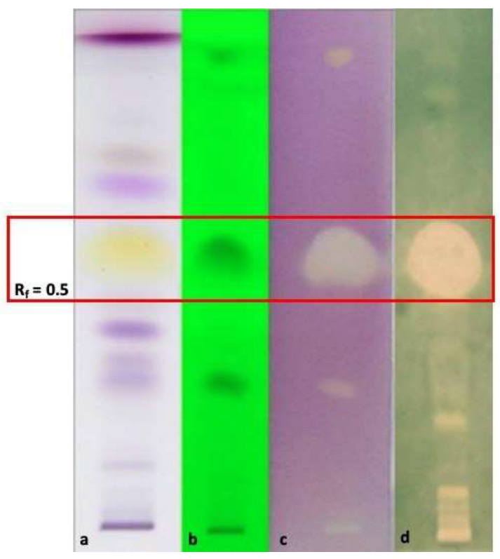 Antibiotics 12 00177 g001