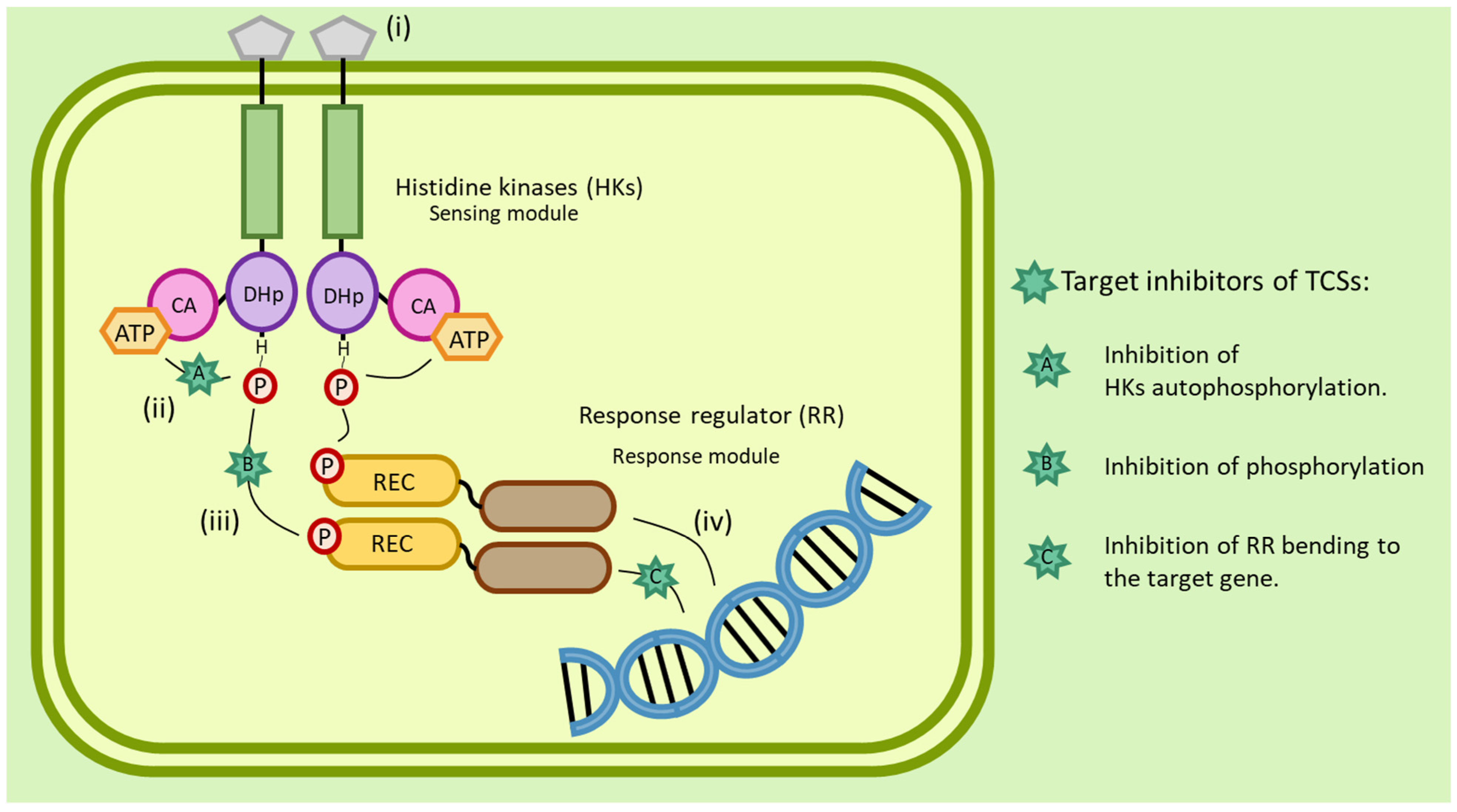 Antibiotics 12 00190 g003 Antibiotics 12 00190 g003