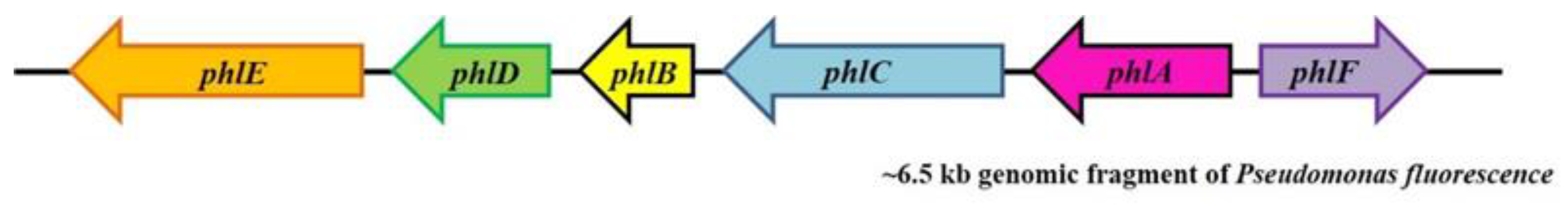 Antibiotics 12 00260 g001