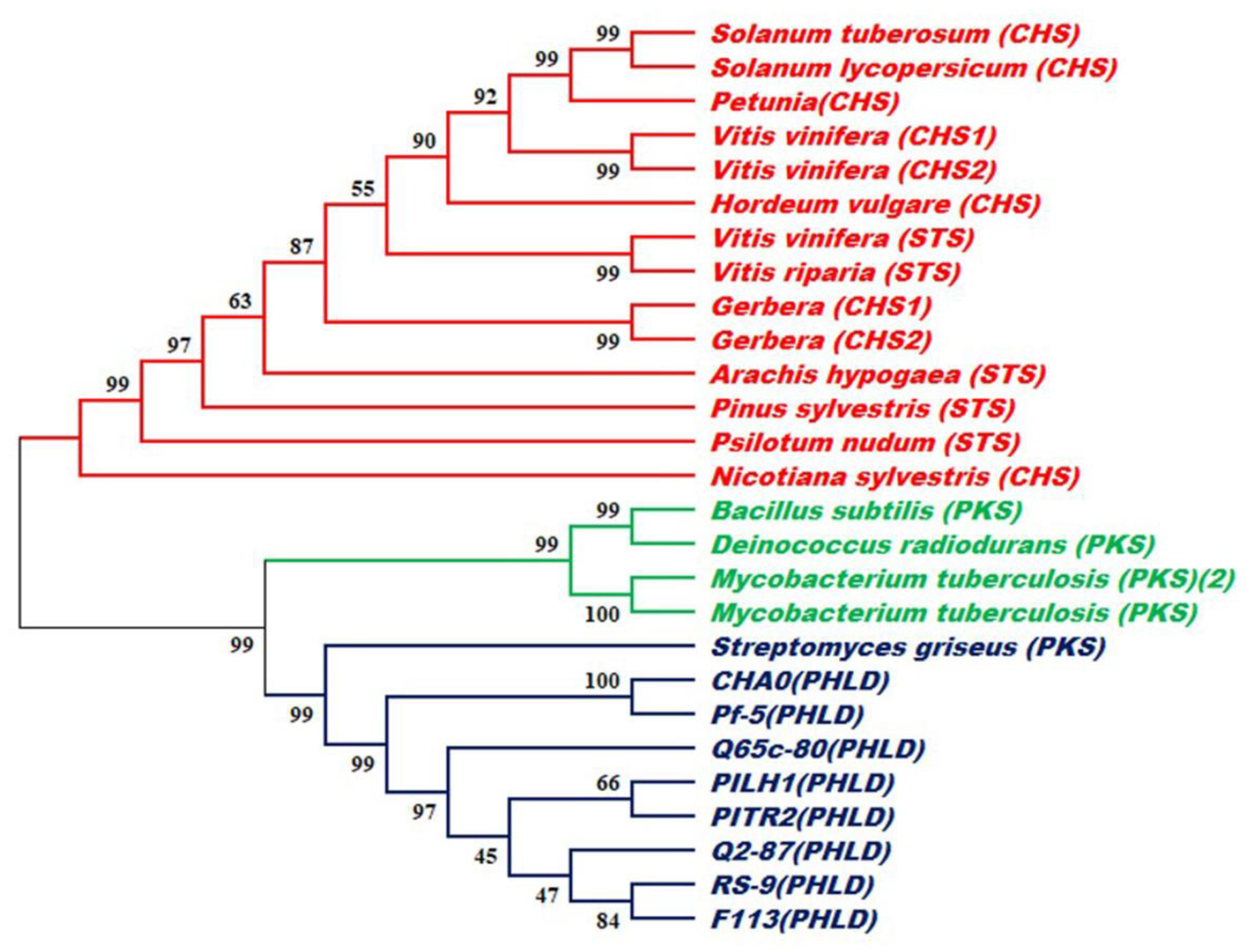 Antibiotics 12 00260 g008