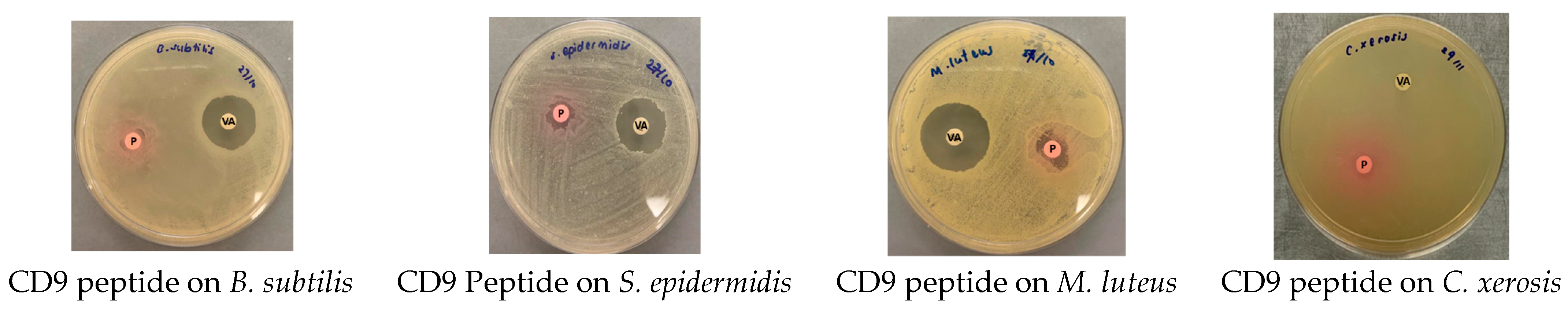 Antibiotics 12 00271 g001