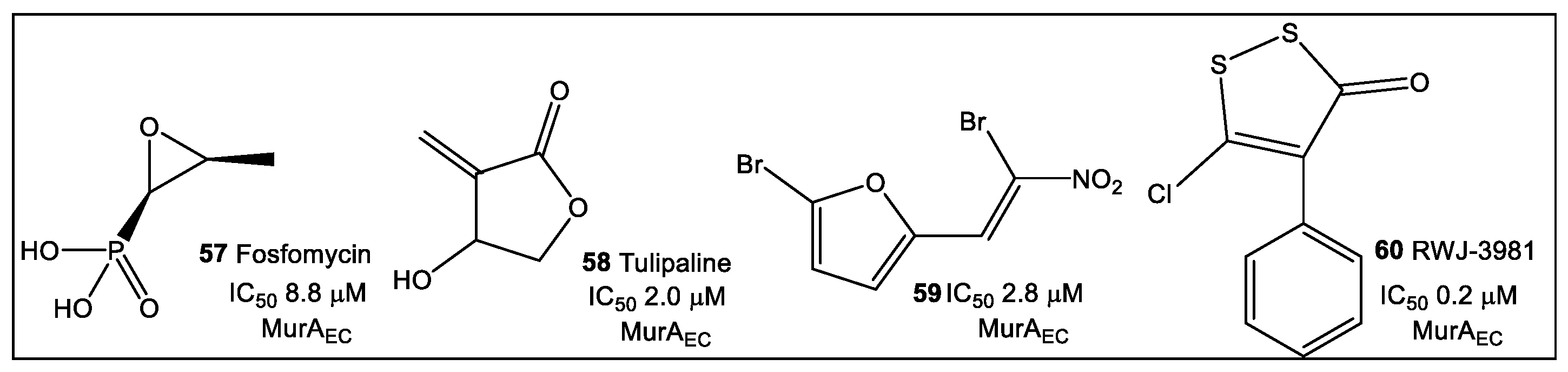 Antibiotics 12 00315 g010