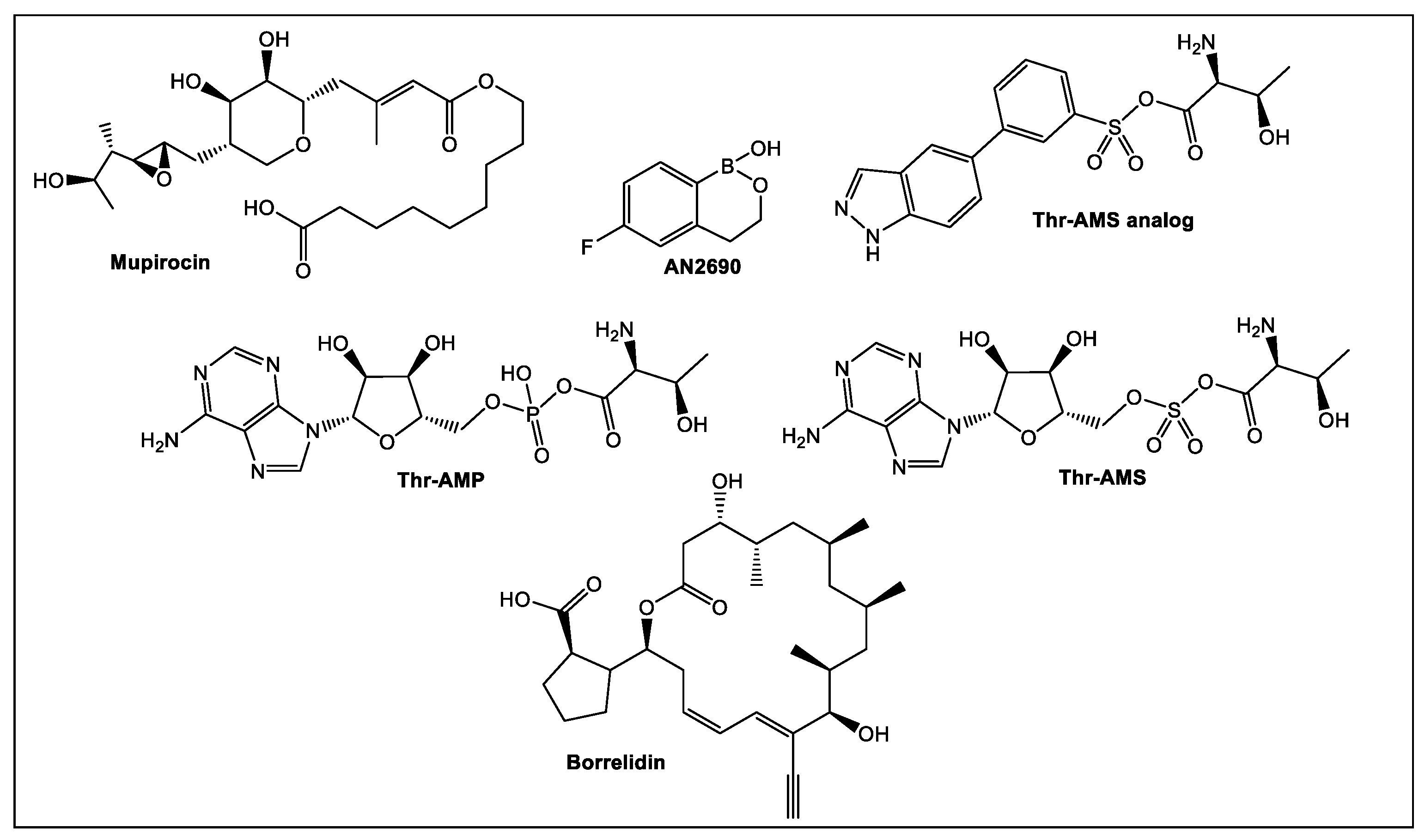 Antibiotics 12 00315 g022