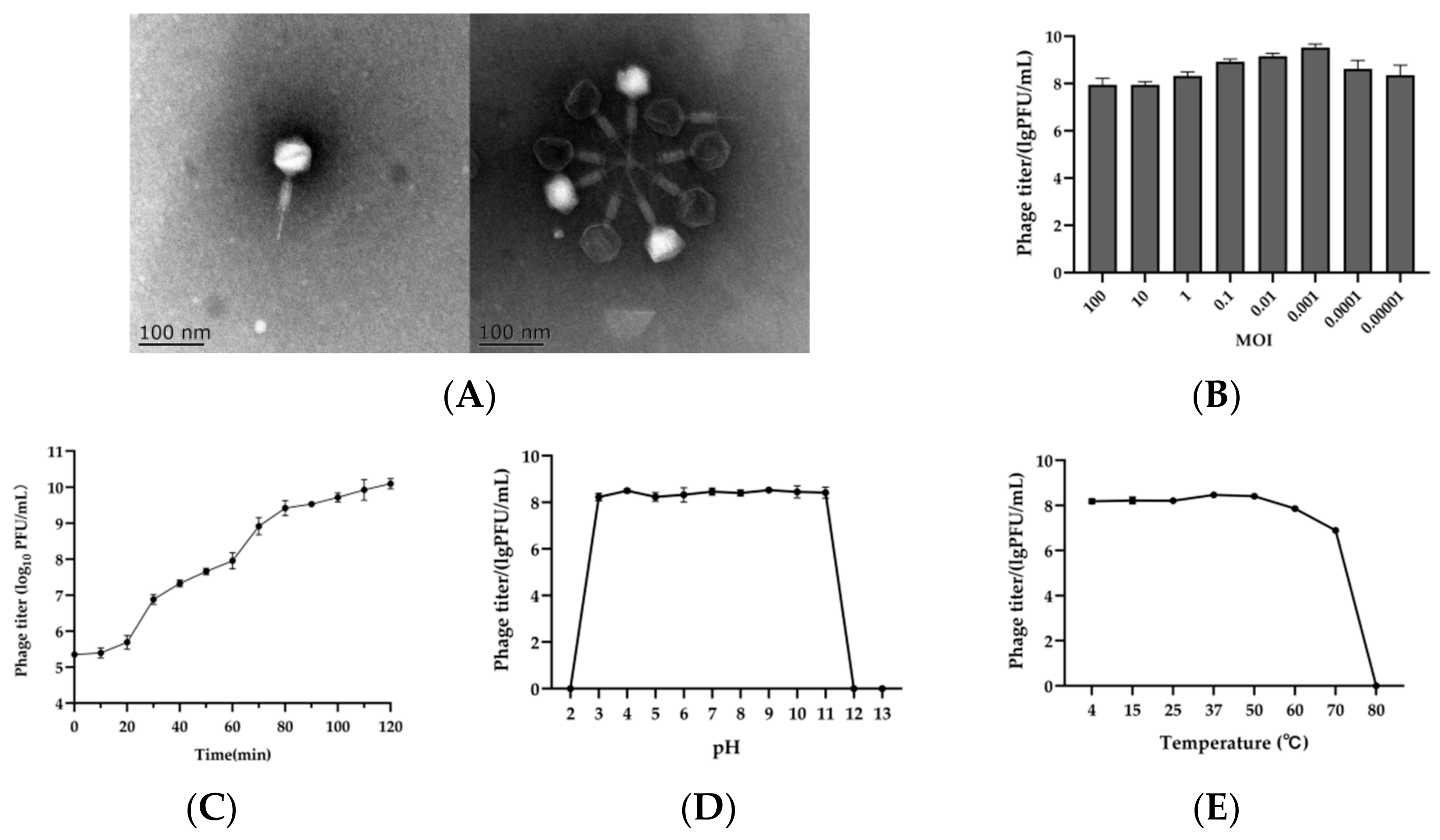 Antibiotics 12 00364 g001