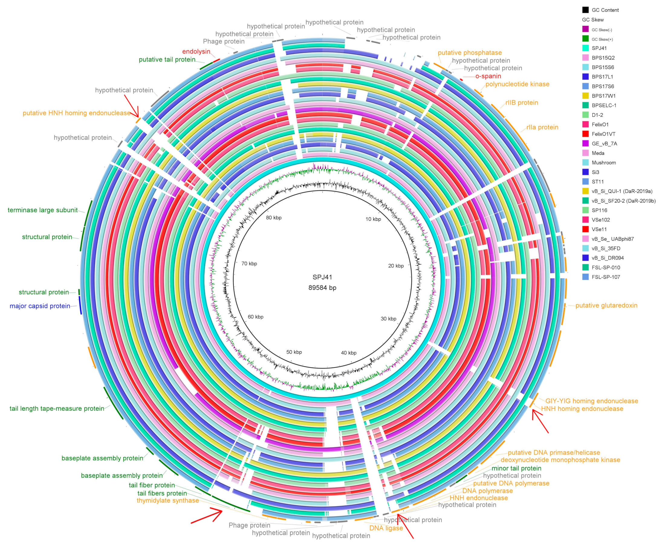 Antibiotics 12 00364 g004
