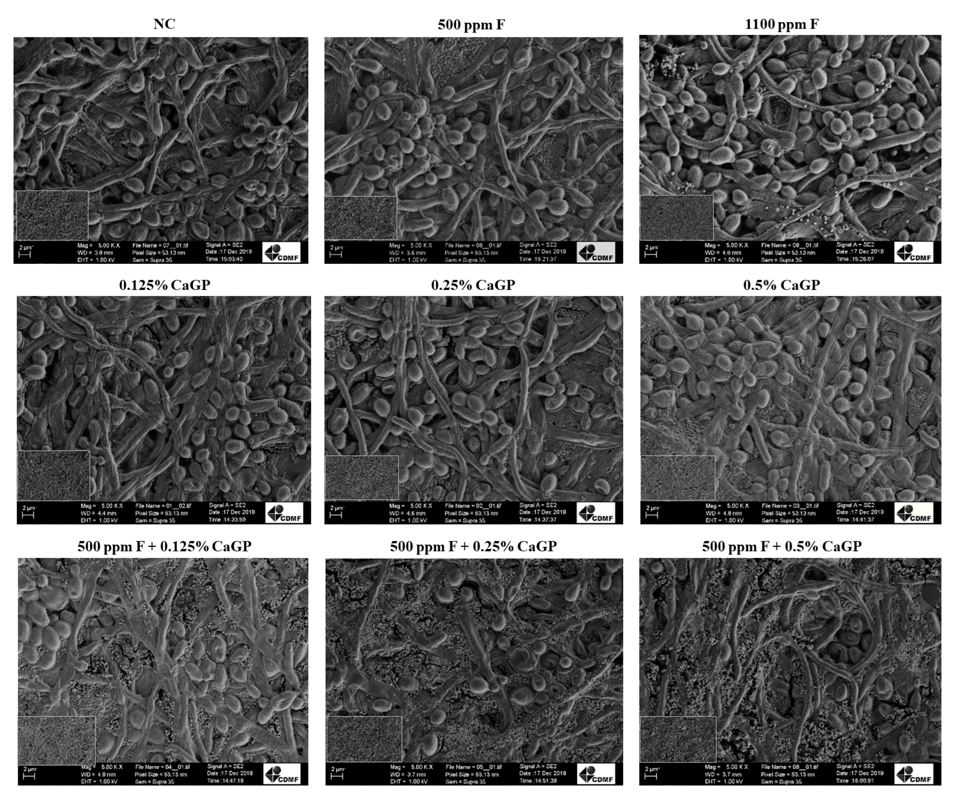 Antibiotics 12 00422 g003