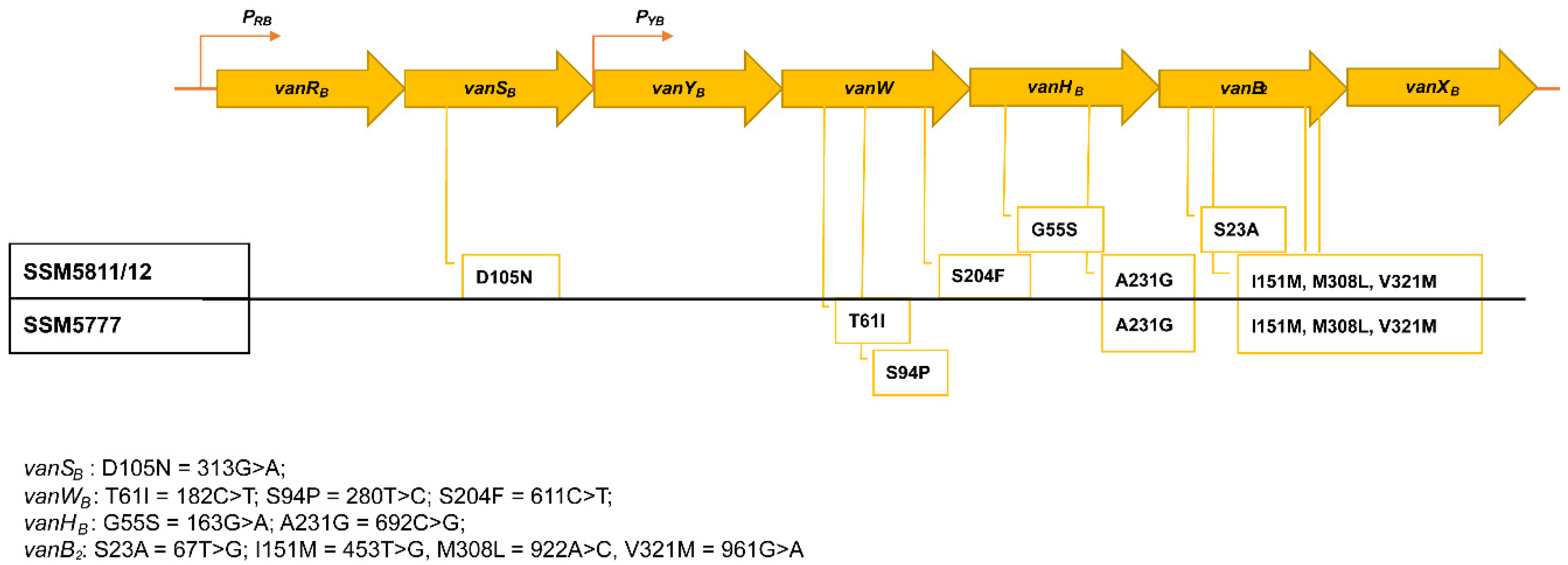 Antibiotics 12 00476 g001