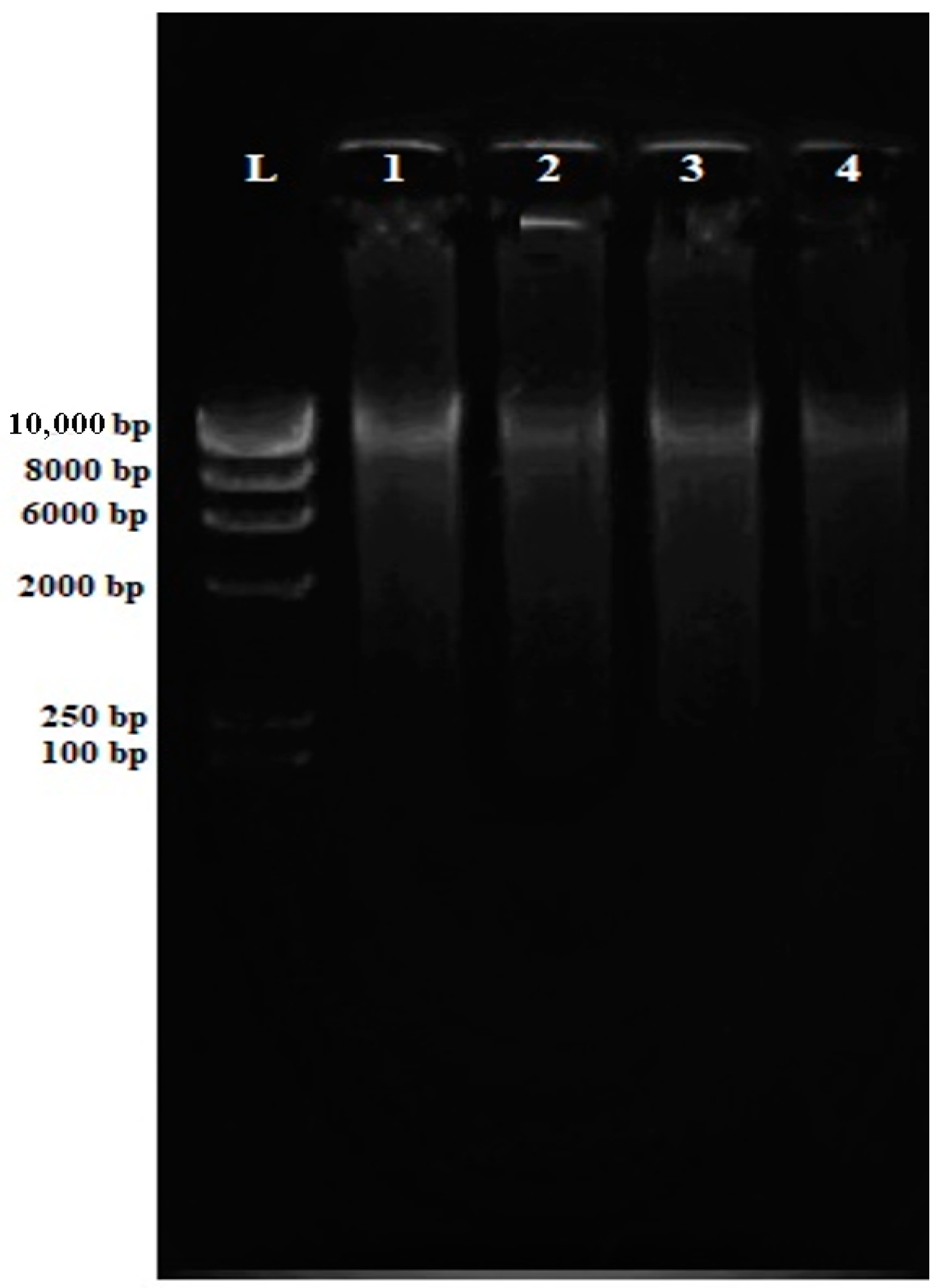 Antibiotics 12 00477 g001 Antibiotics 12 00477 g001