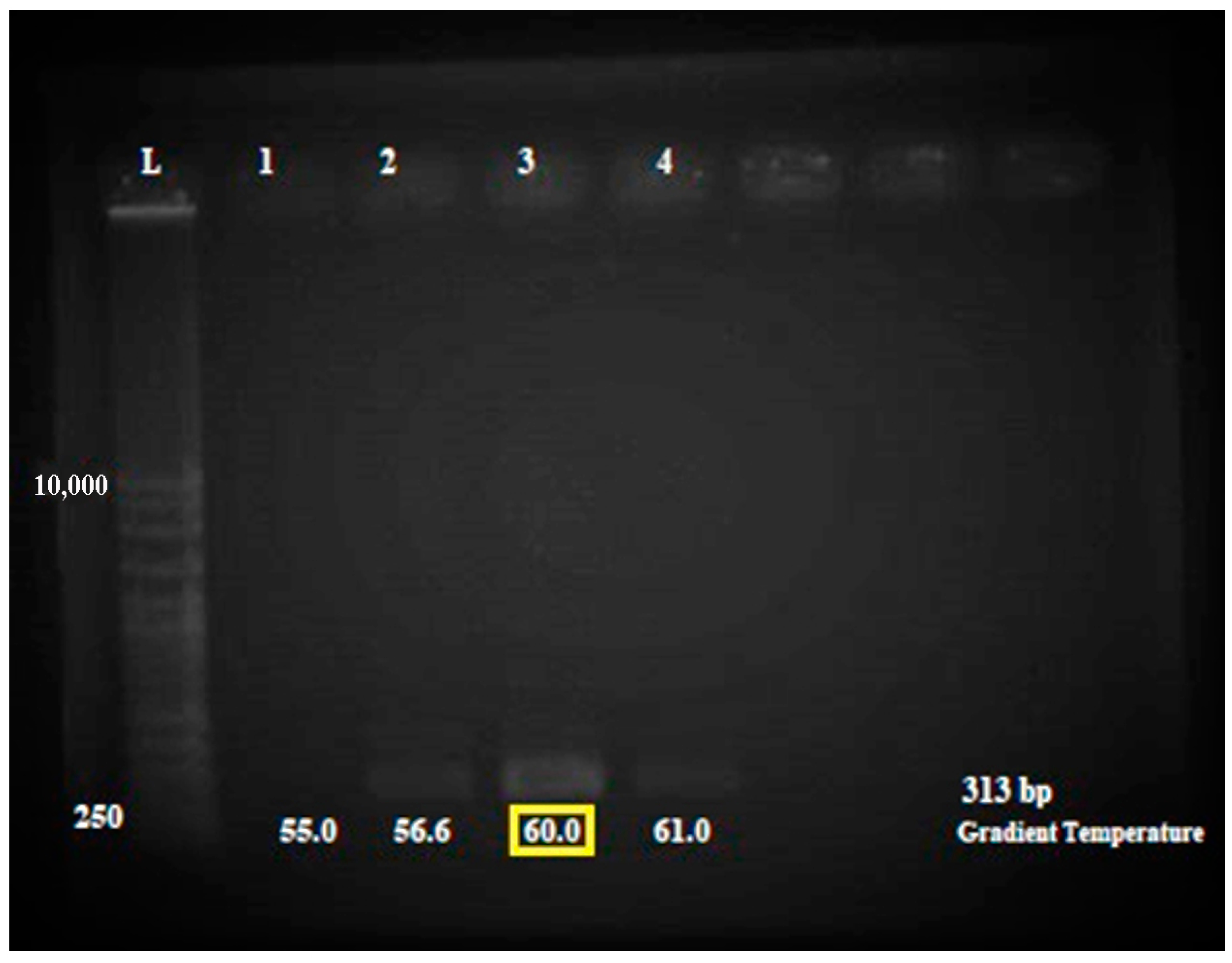 Antibiotics 12 00477 g002 Antibiotics 12 00477 g002
