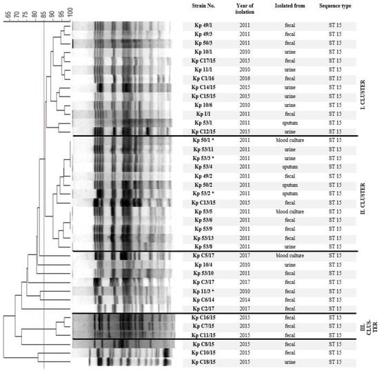 Antibiotics | Free Full-Text | Virulence Characteristics and Molecular ...