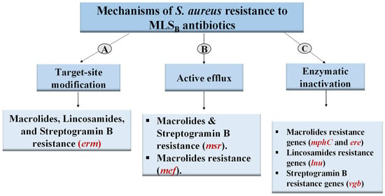 Antibiotics | Free Full-Text | Inhibition Of Erythromycin And ...