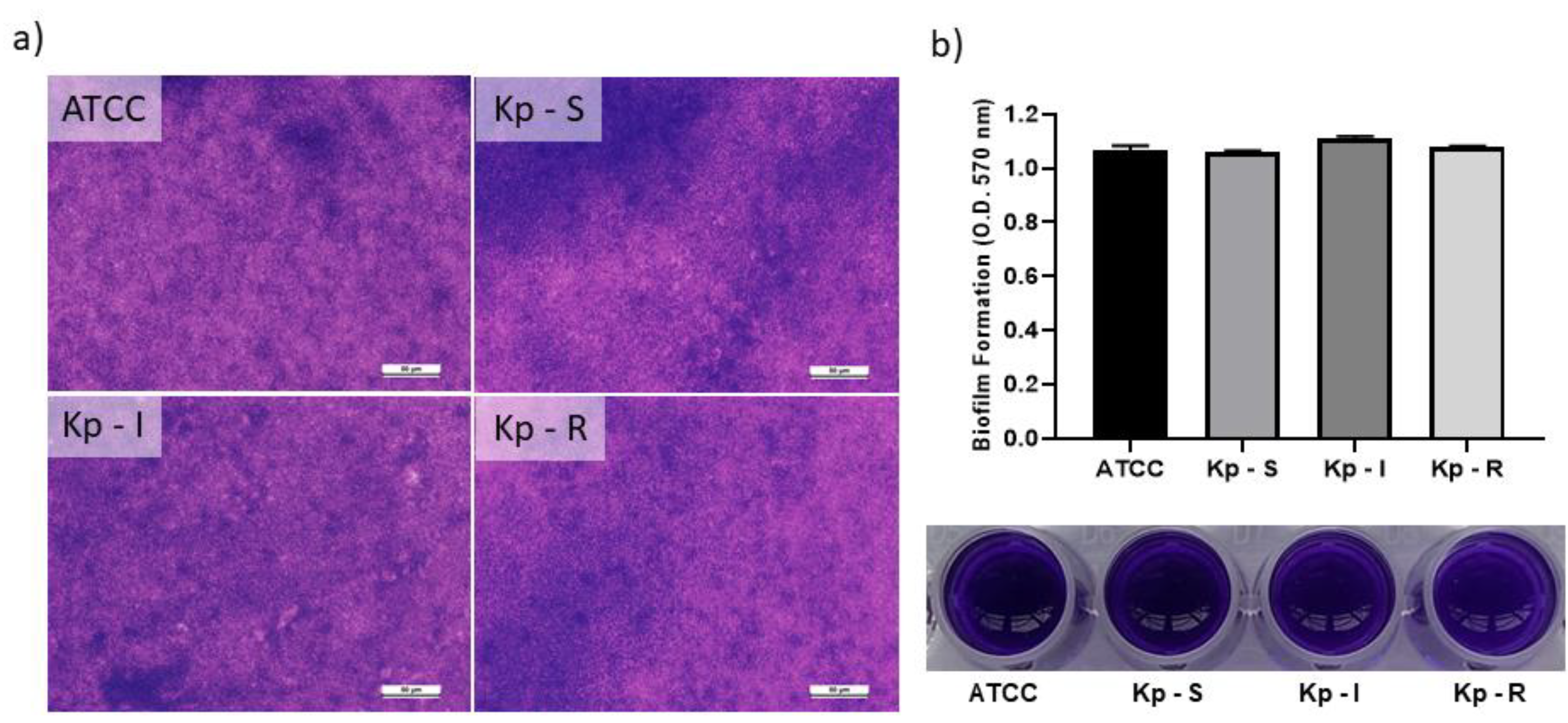 Antibiotics 12 00535 g004 Antibiotics 12 00535 g004