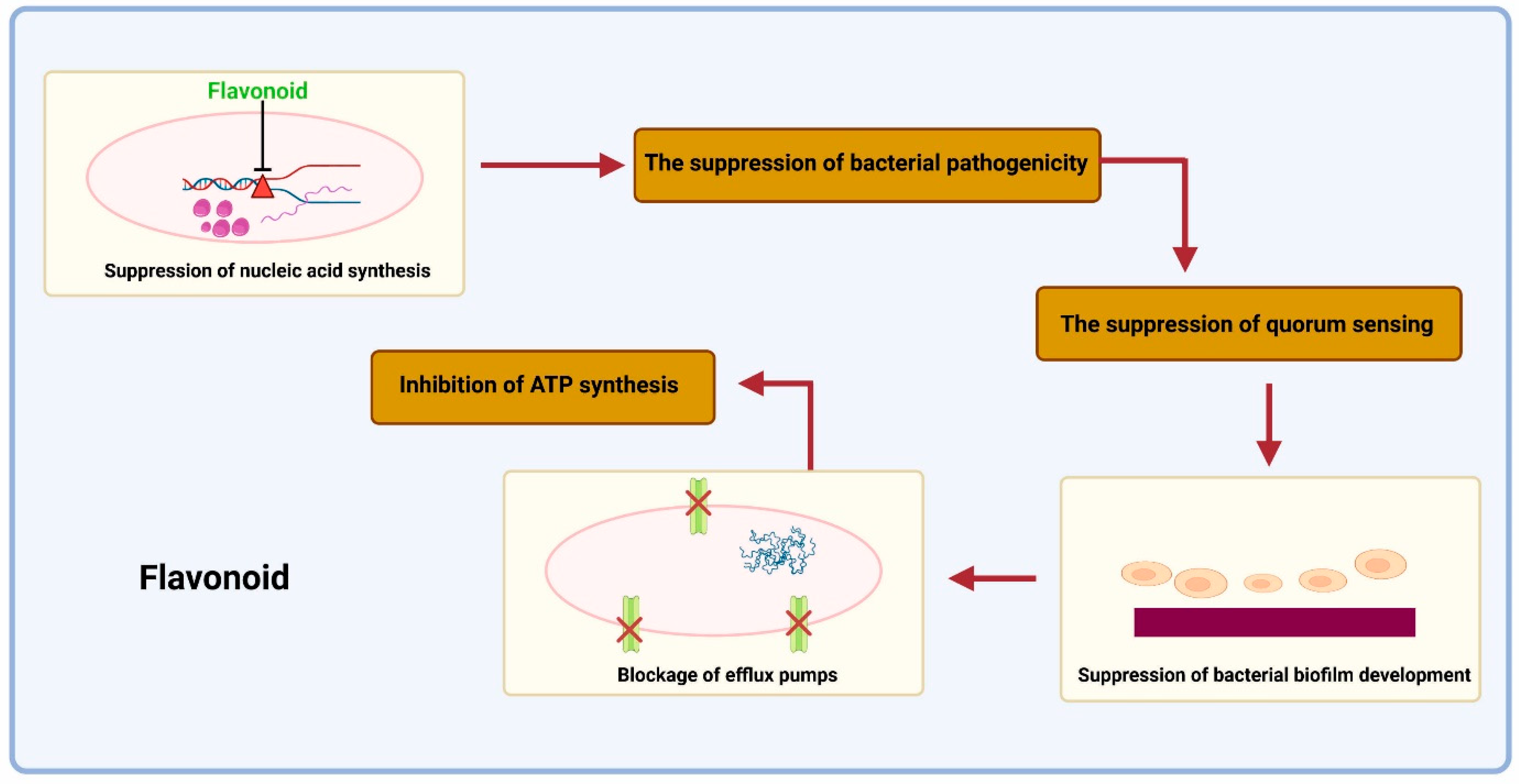 Antibiotics 12 00541 g004 Antibiotics 12 00541 g004