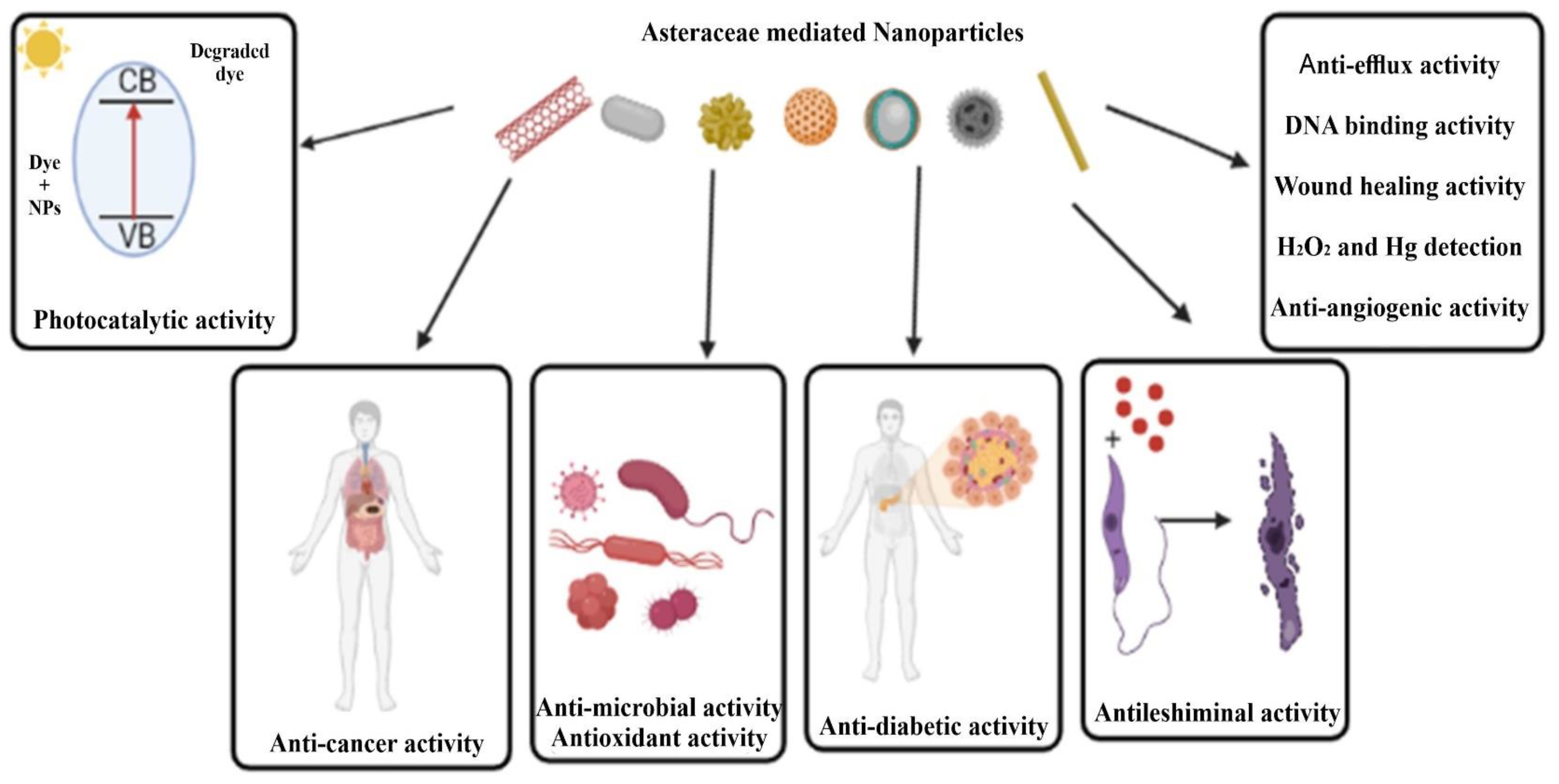 Antibiotics 12 00543 g003 Antibiotics 12 00543 g003
