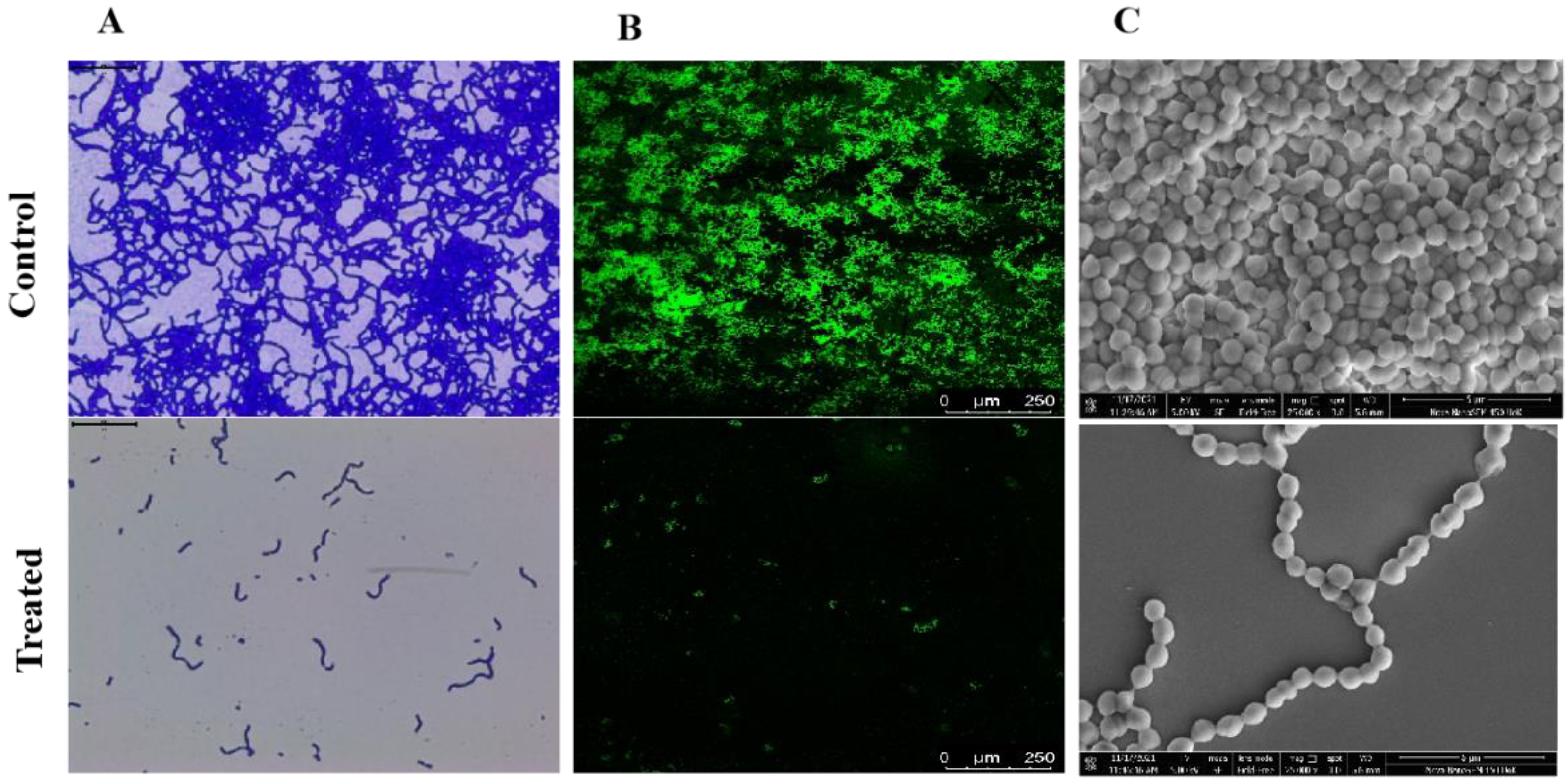 Antibiotics 12 00545 g004