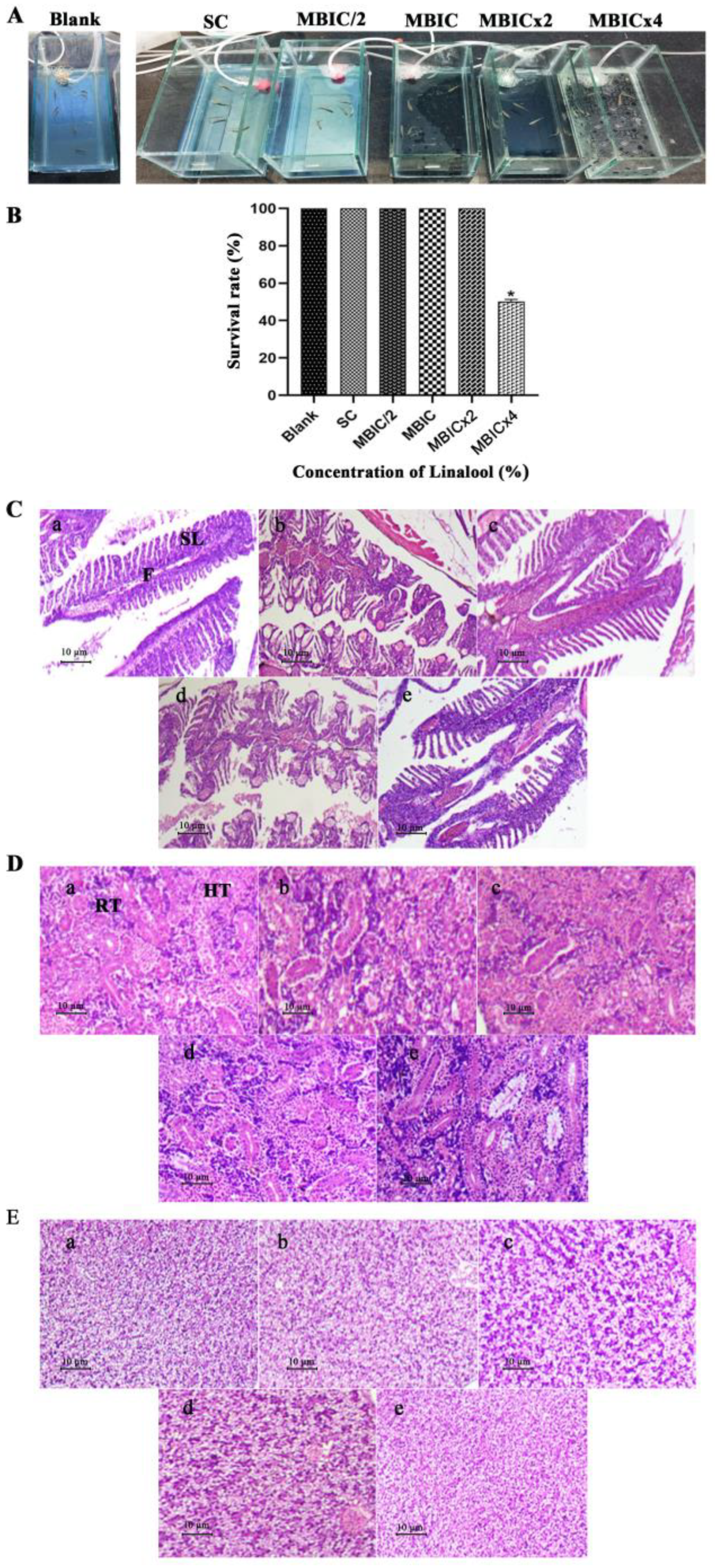 Antibiotics 12 00545 g008