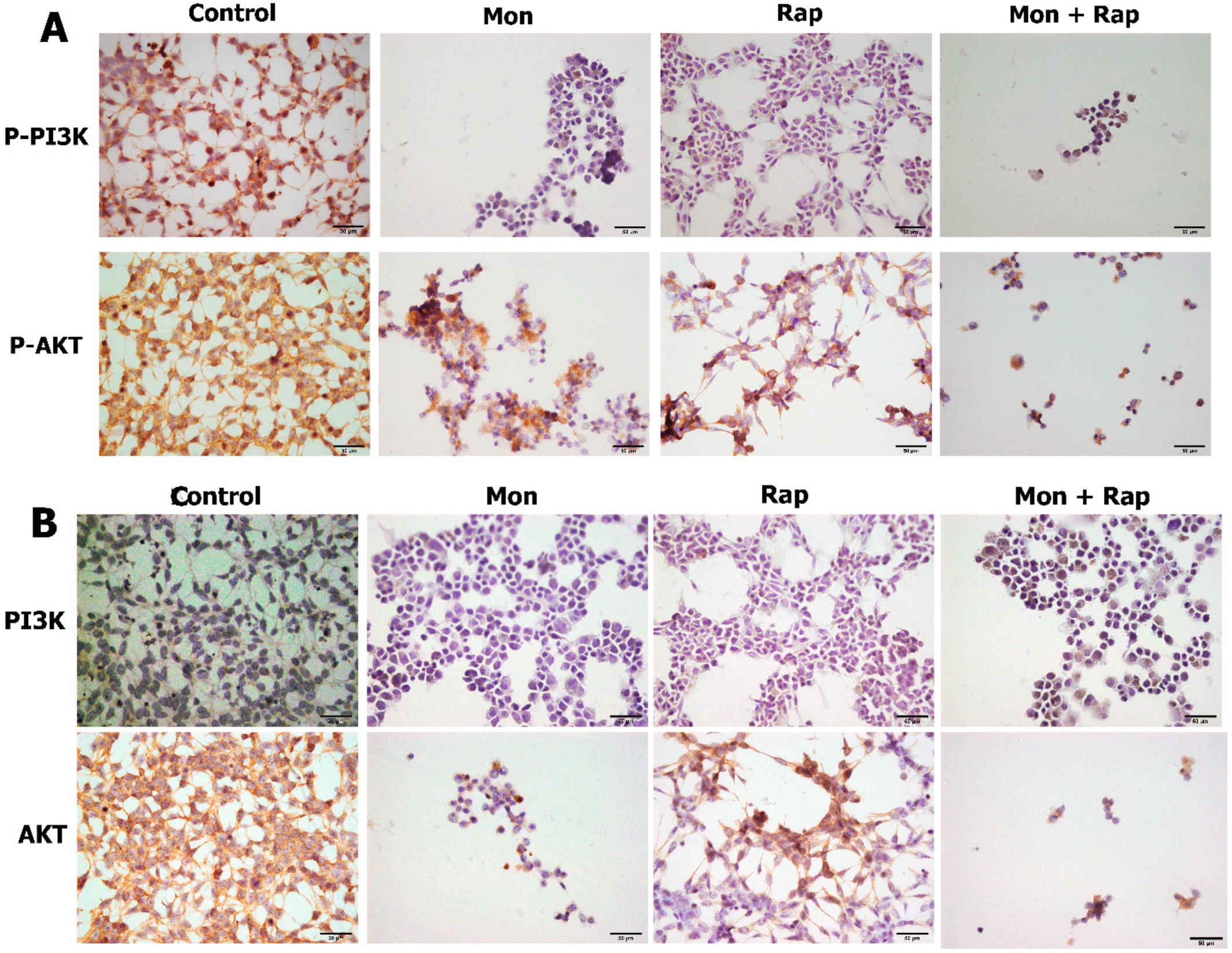 Antibiotics 12 00546 g003