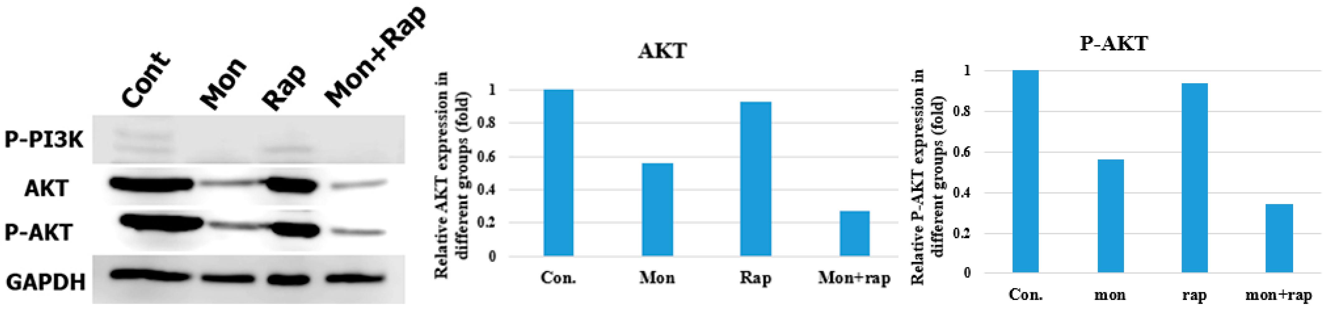 Antibiotics 12 00546 g006