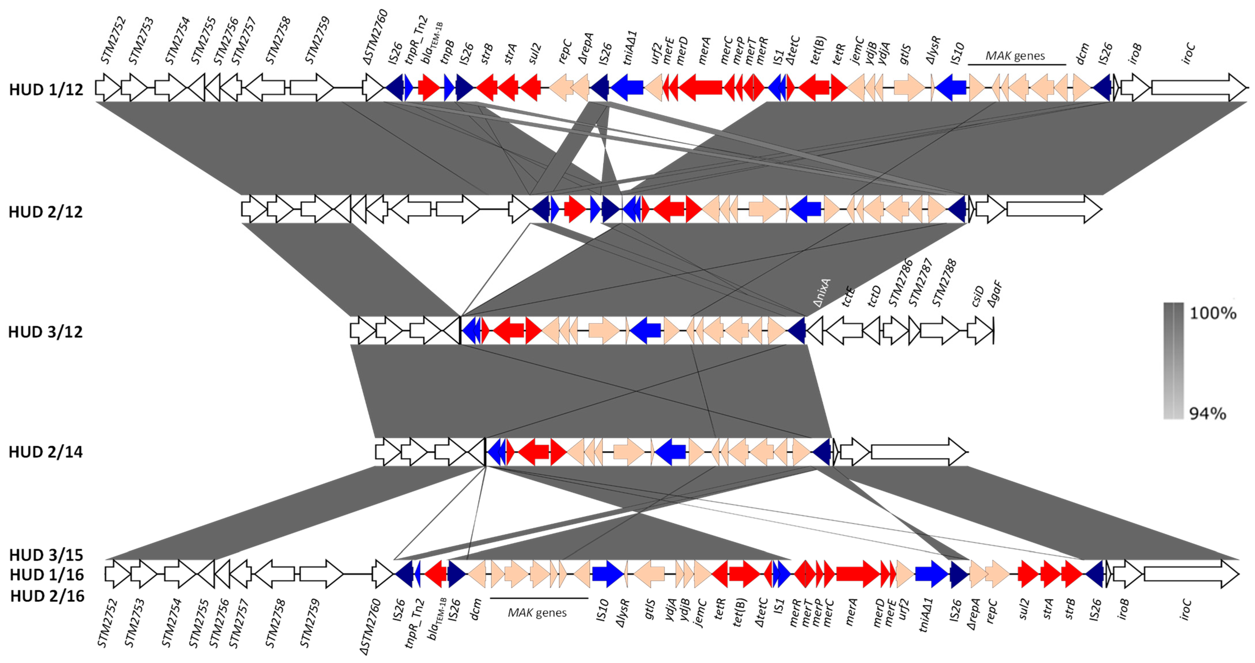Antibiotics 12 00547 g003