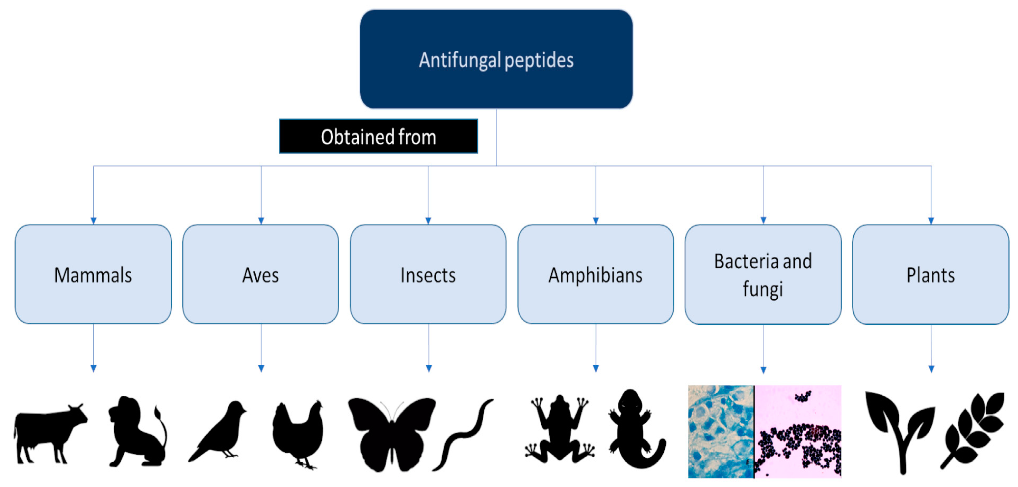 Antibiotics 12 00566 g002 Antibiotics 12 00566 g002