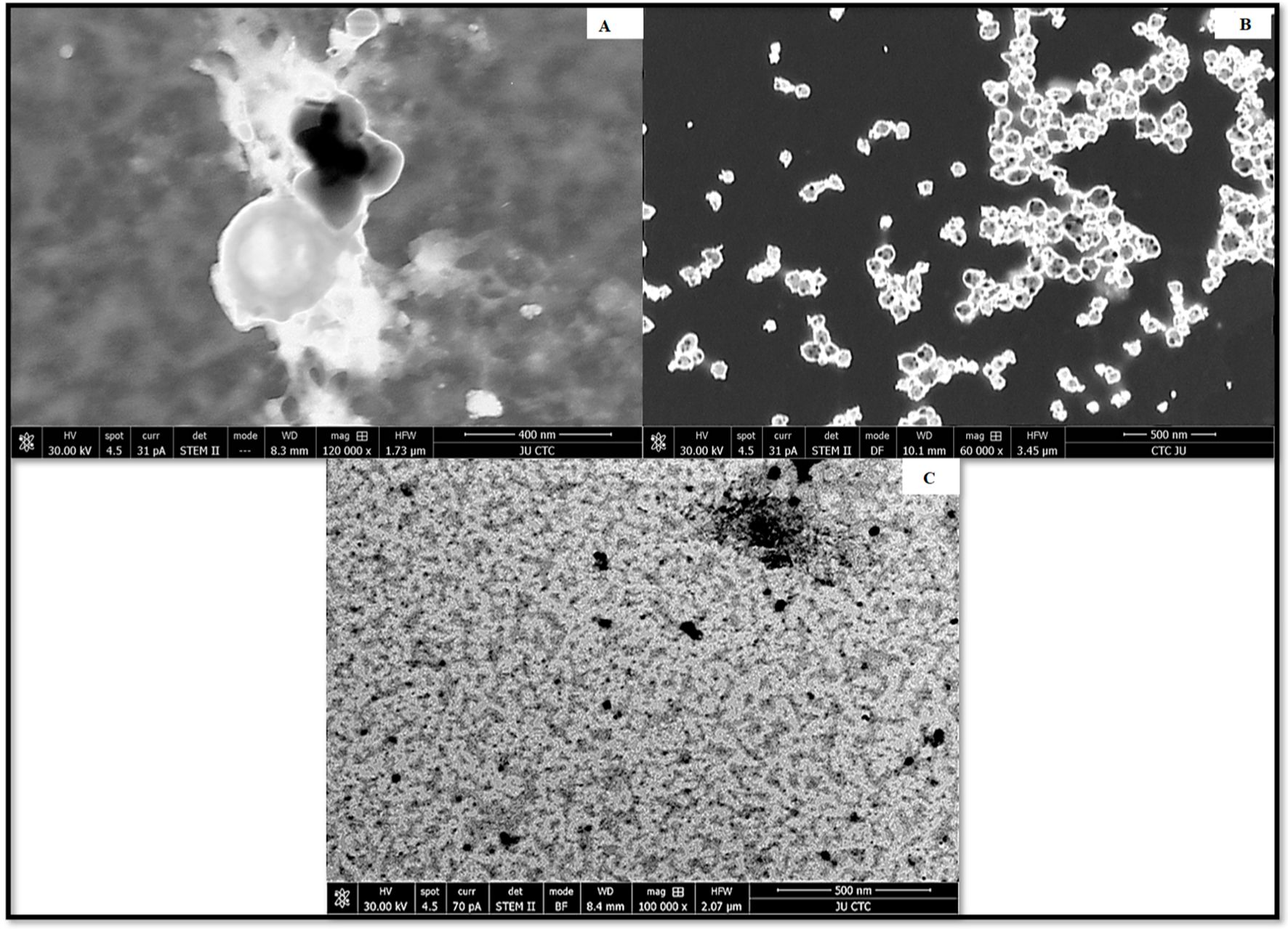 Antibiotics 12 00597 g002