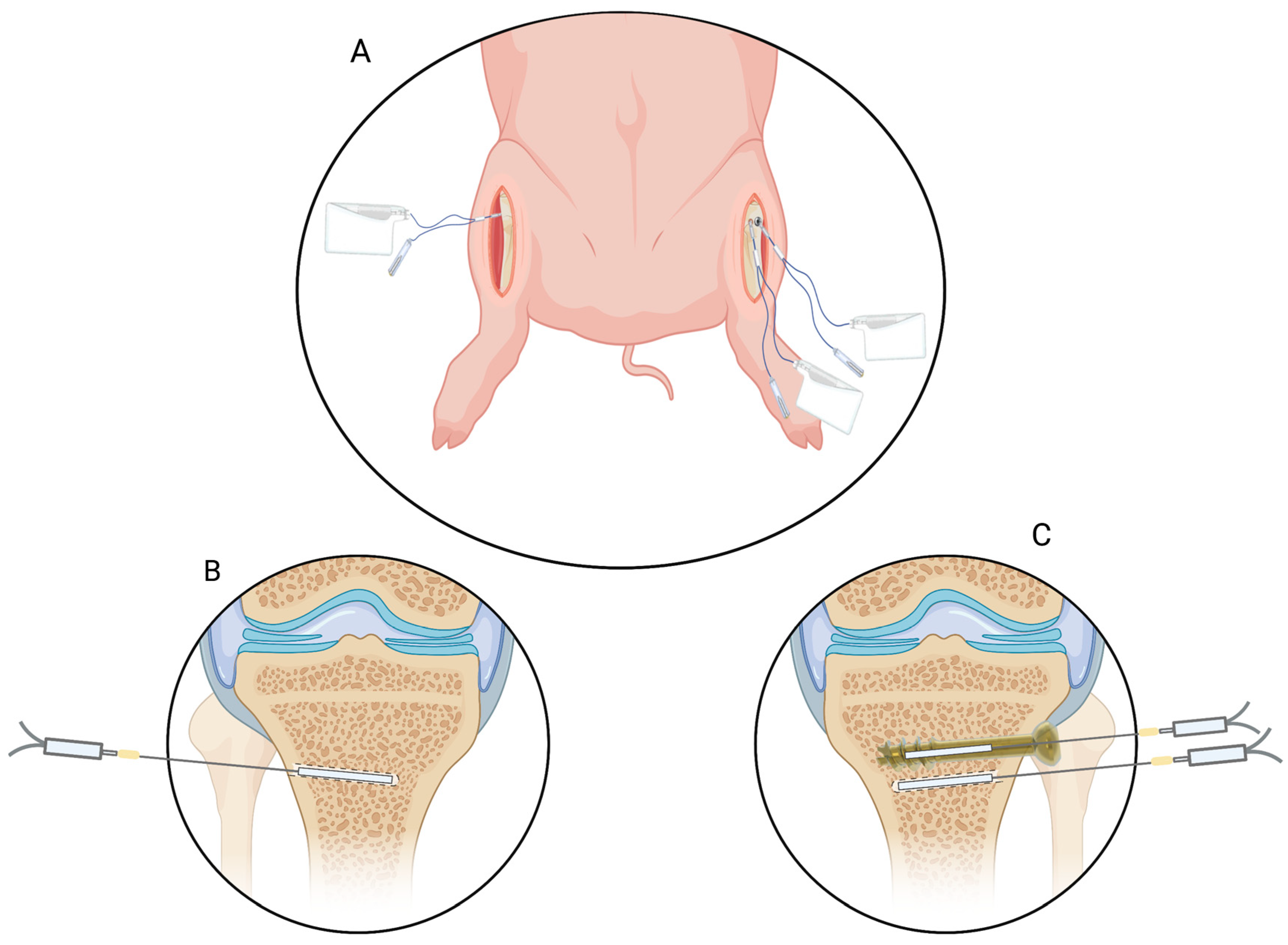 Antibiotics 12 00615 g002 Antibiotics 12 00615 g002