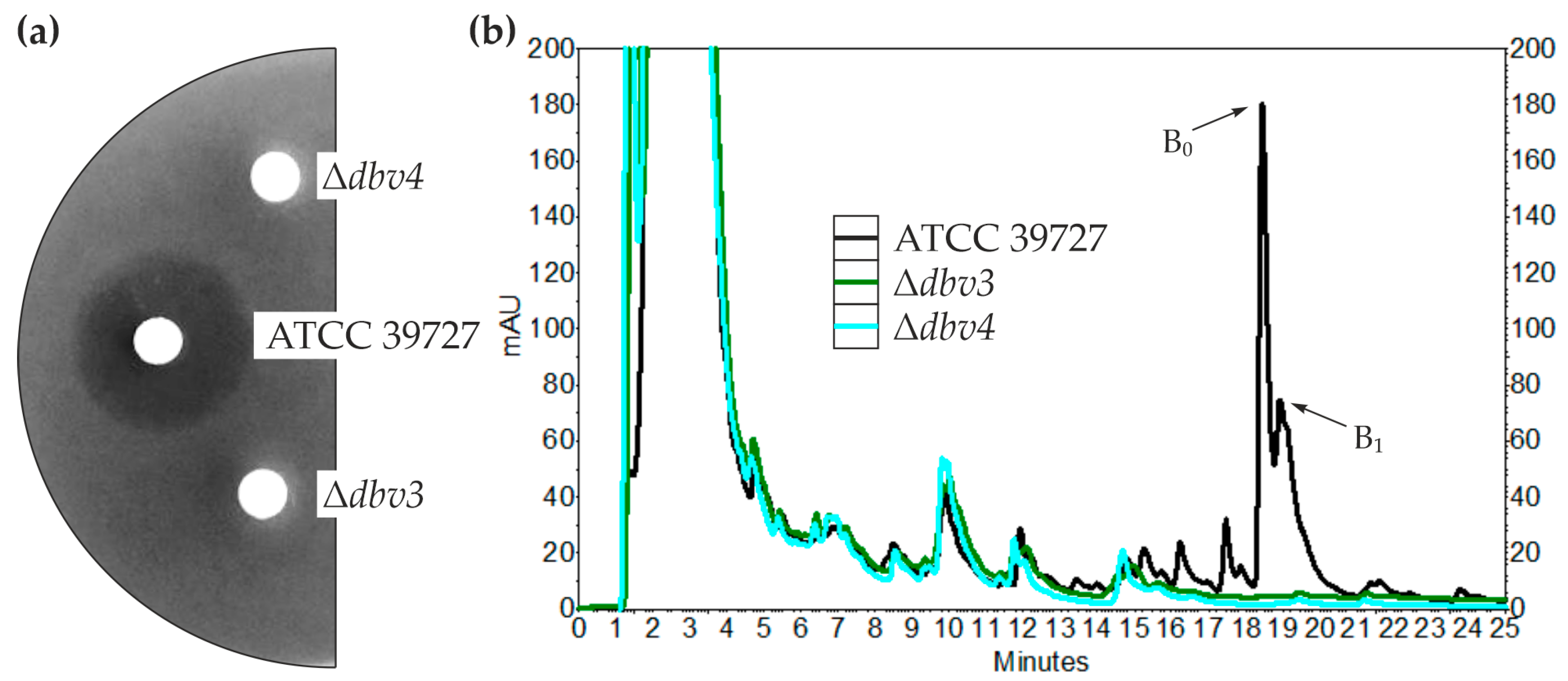 Antibiotics 12 00641 g001 Antibiotics 12 00641 g001