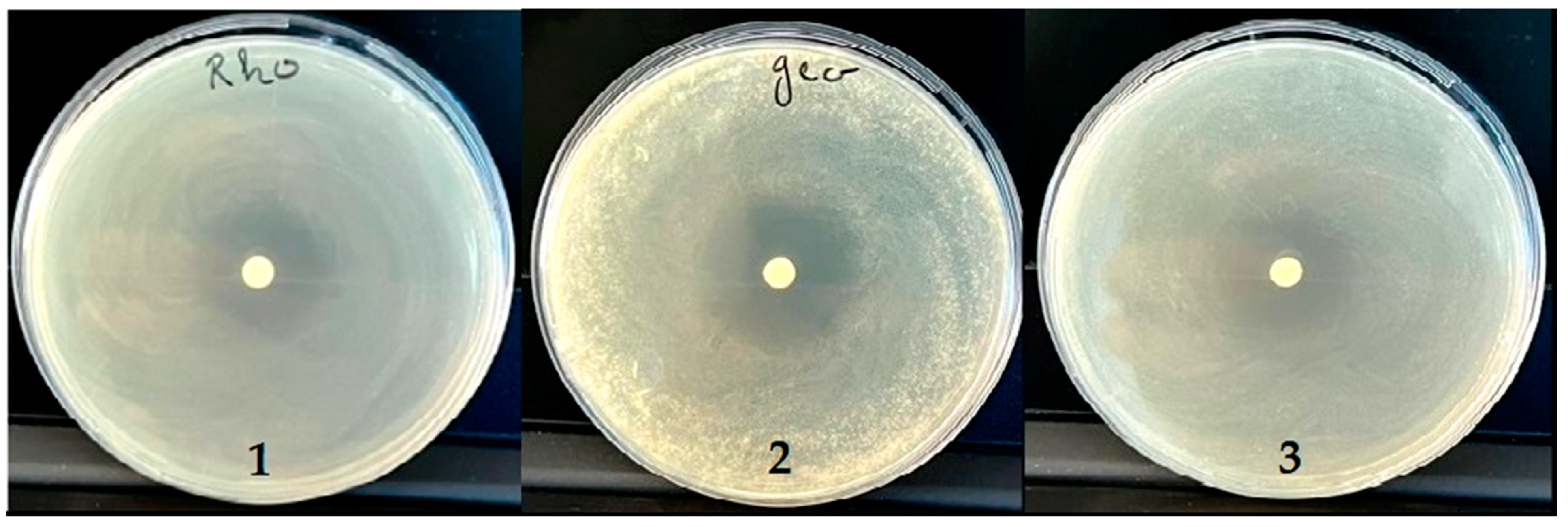 Antibiotics 12 00655 g006 Antibiotics 12 00655 g006
