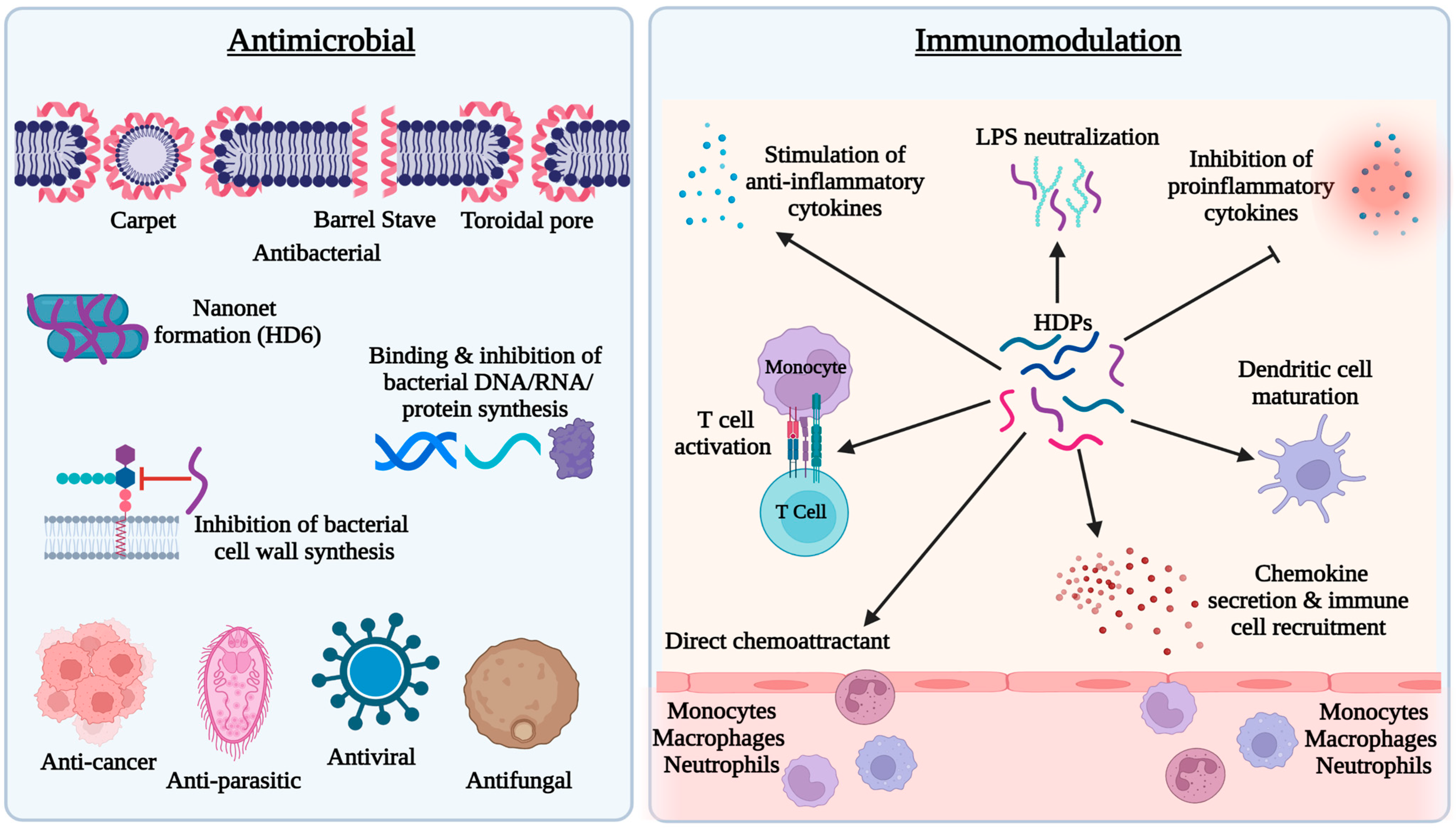 Host defense peptides combined with MTA extract increase the