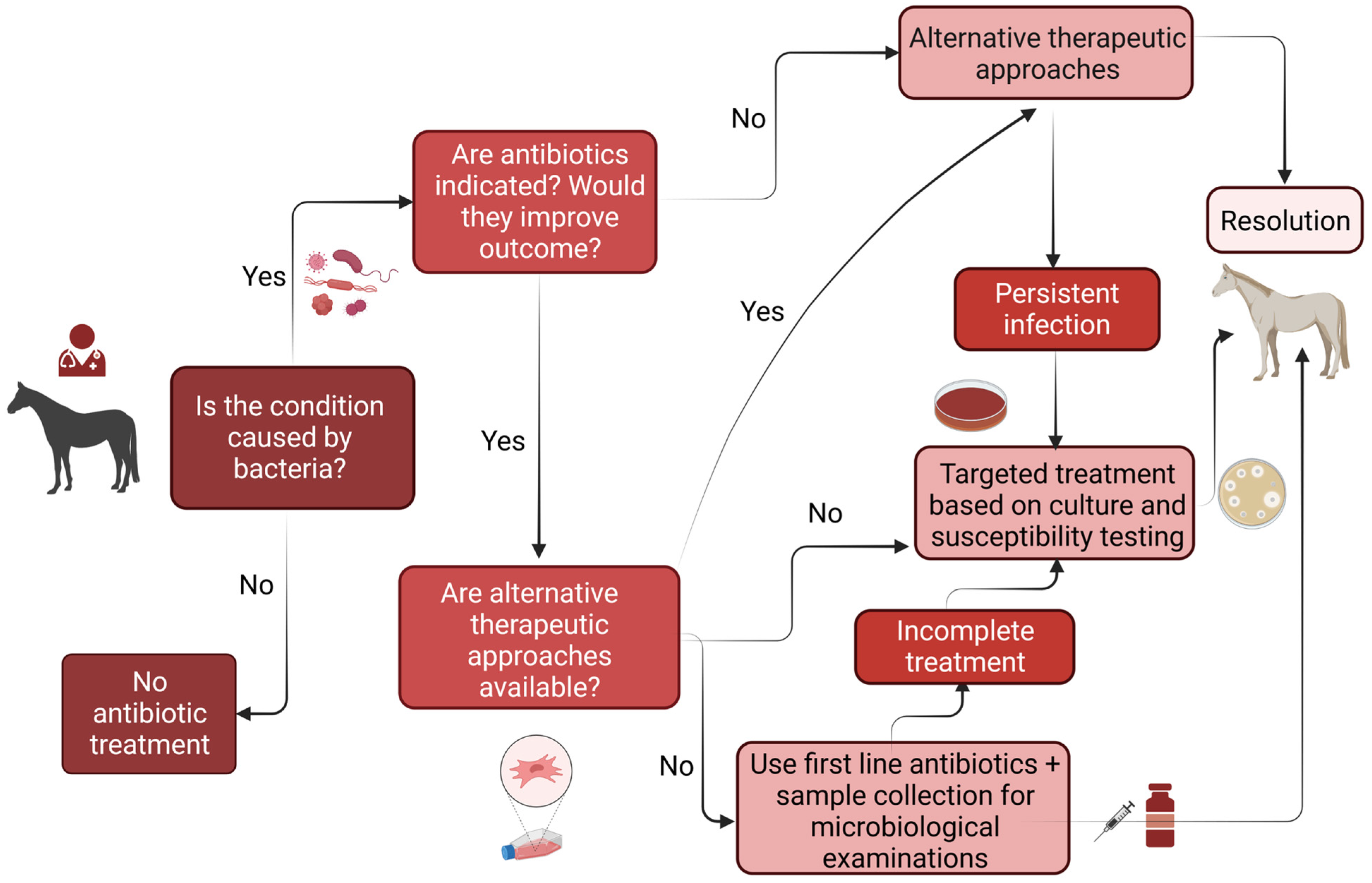 Antibiotics | Free Full-Text | Clinical Aspects of Bacterial Distribution  and Antibiotic Resistance in the Reproductive System of Equids