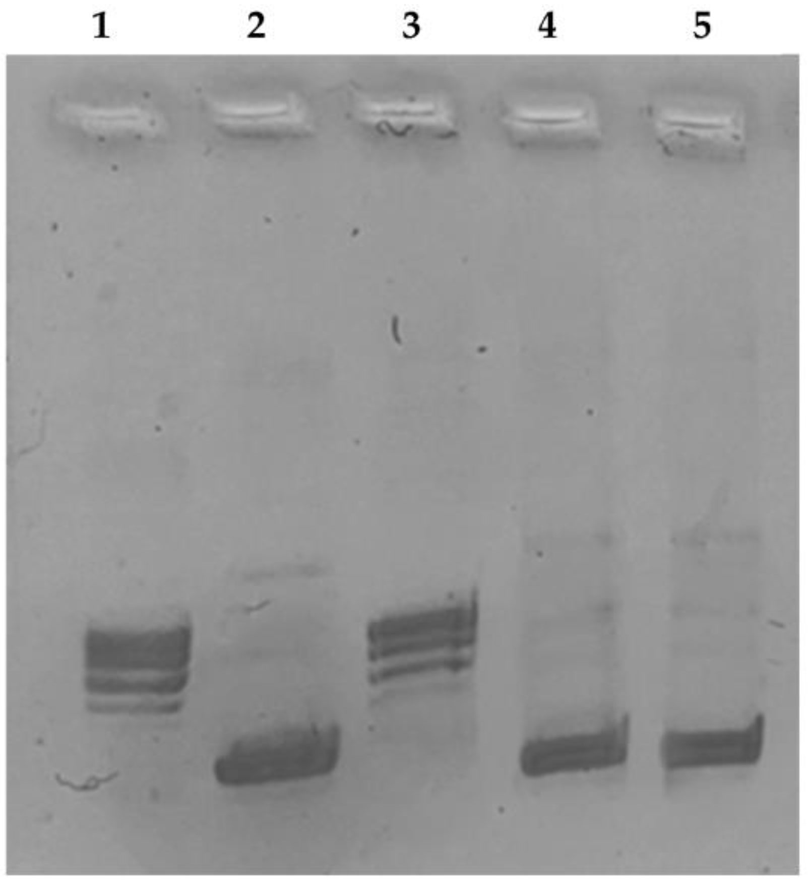 Antibiotics 12 00693 g003 Antibiotics 12 00693 g003