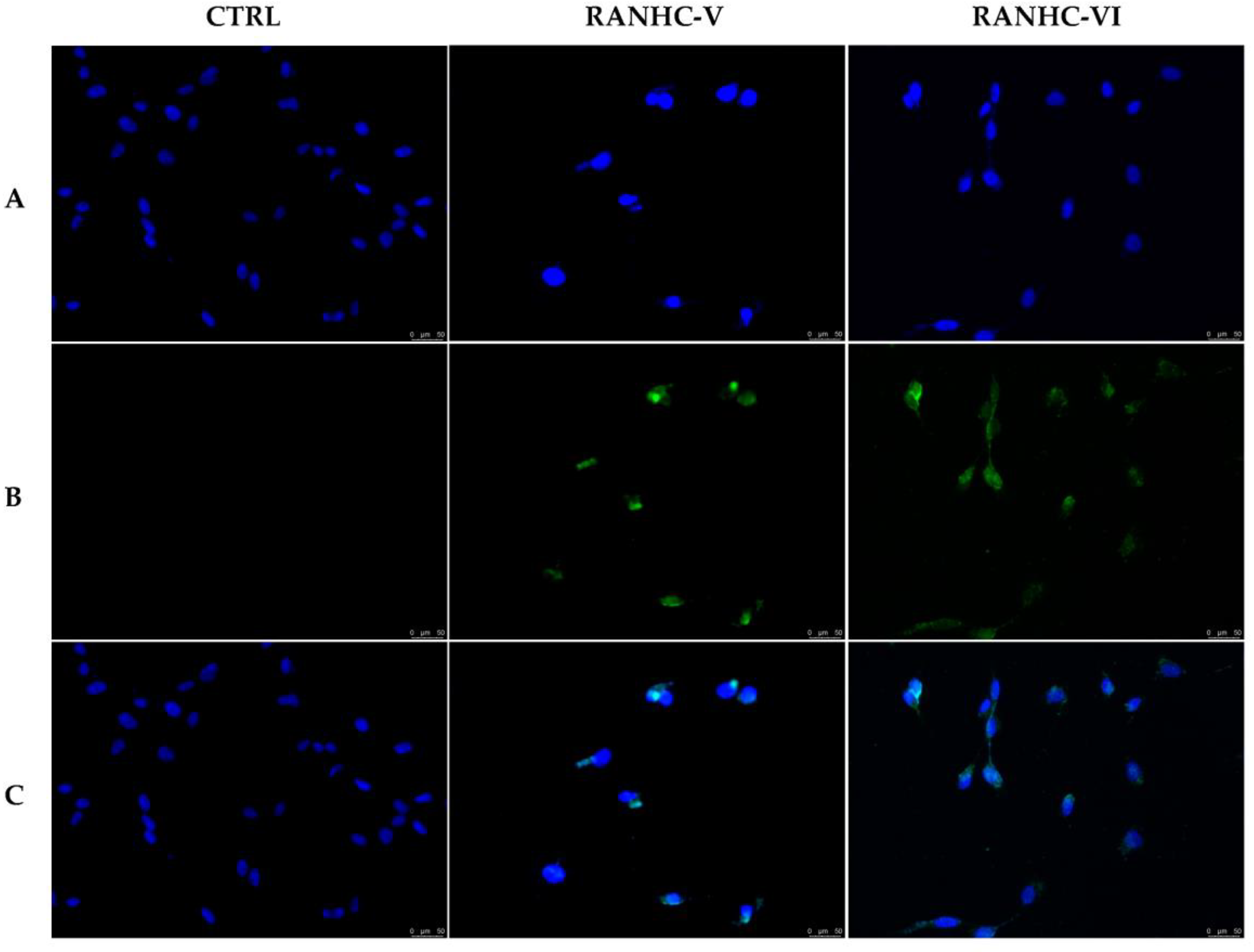 Antibiotics 12 00693 g005 Antibiotics 12 00693 g005