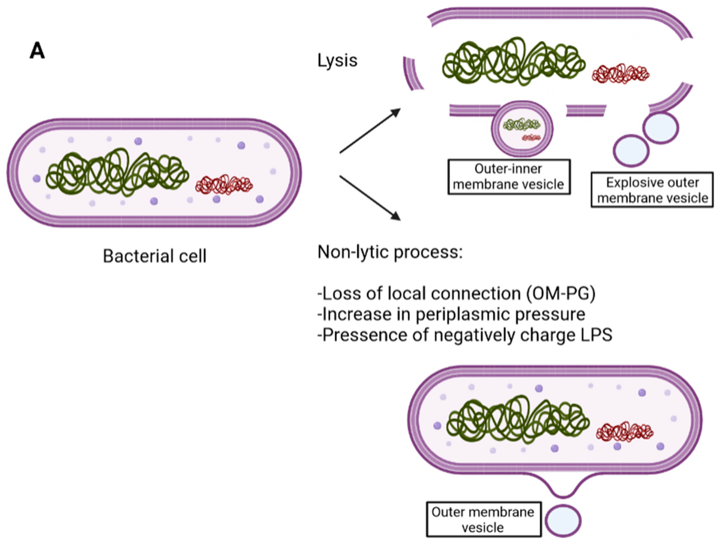 Antibiotics 12 00703 g001a