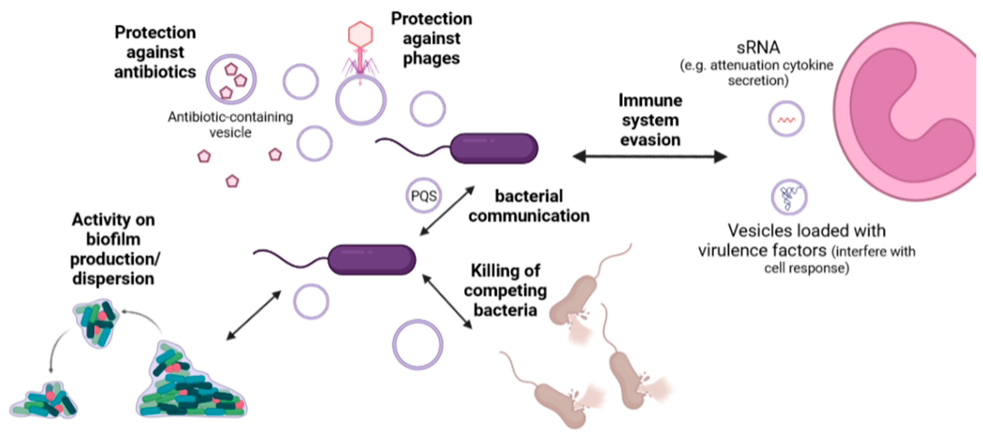 Antibiotics 12 00703 g002