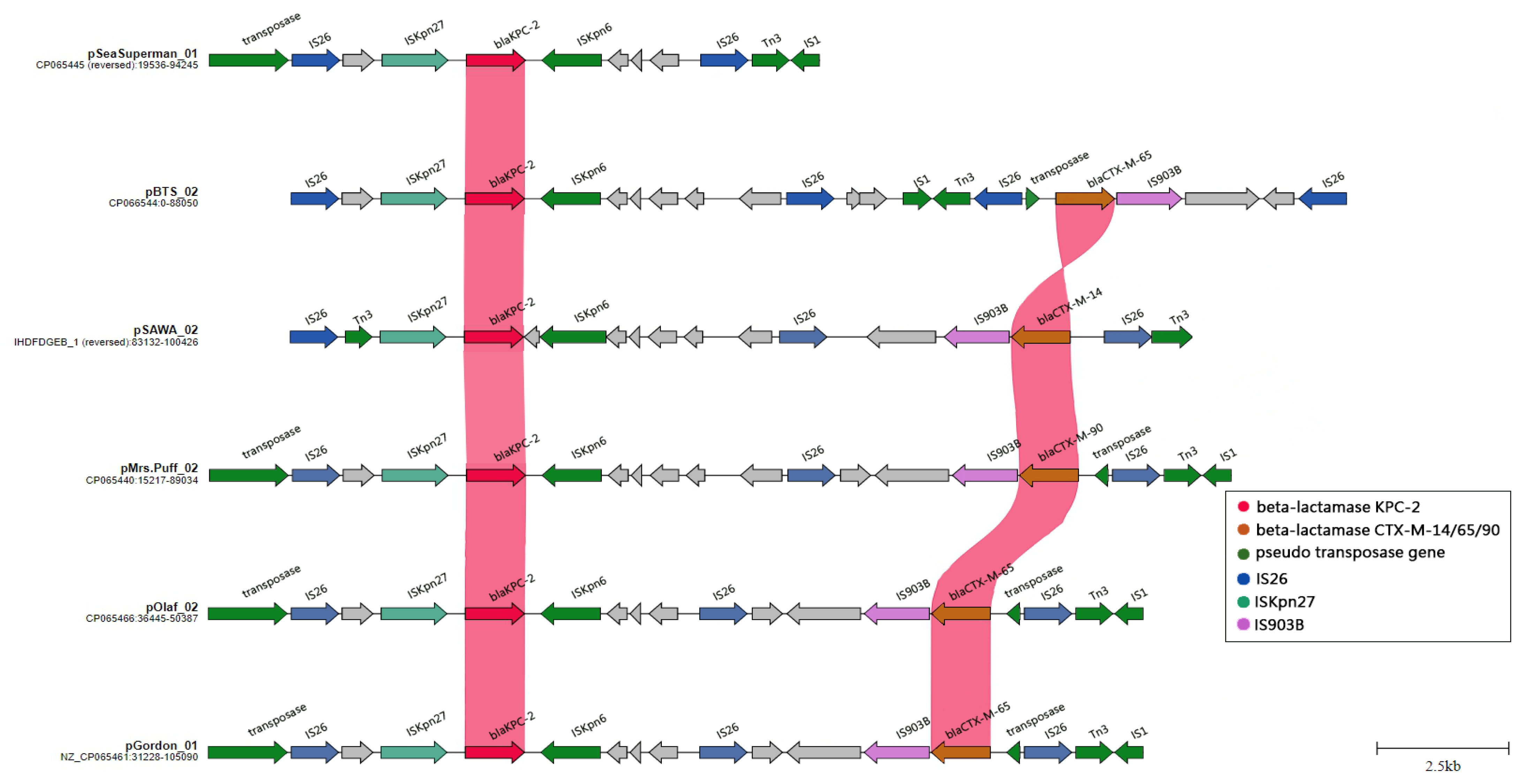 Antibiotics 12 00749 g006