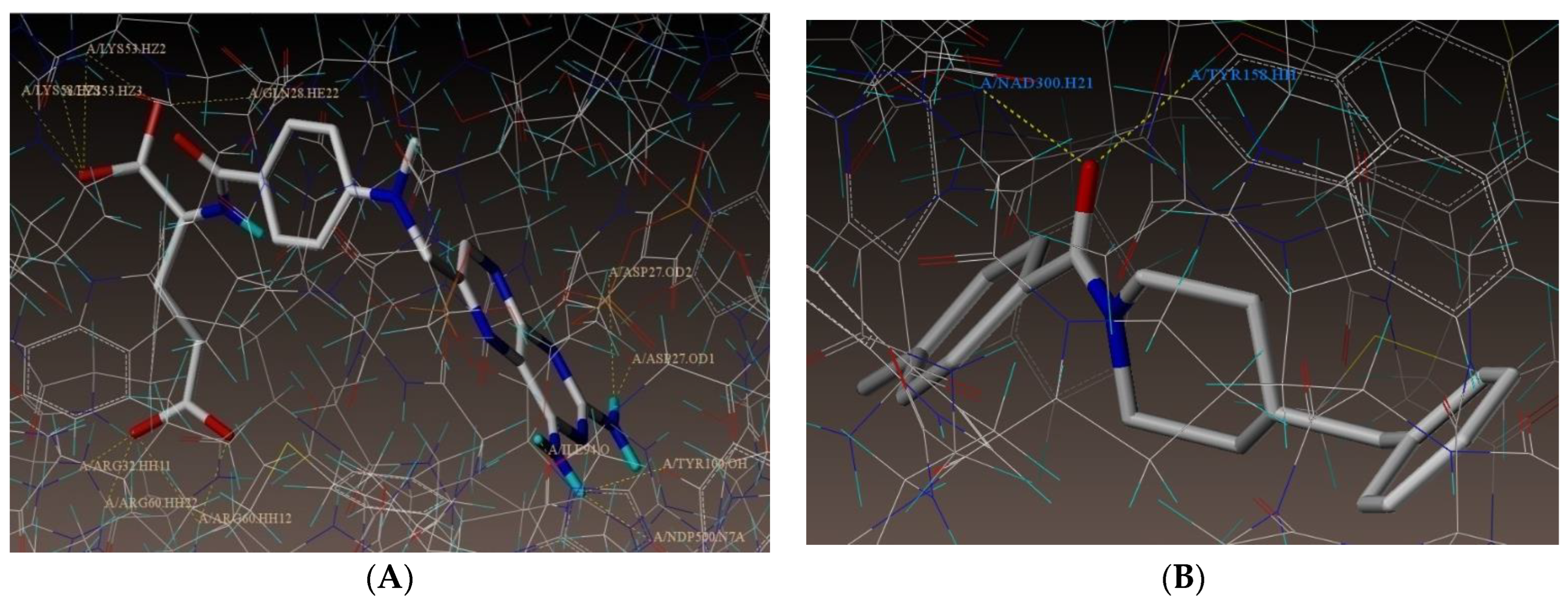 Antibiotics 12 00763 g002
