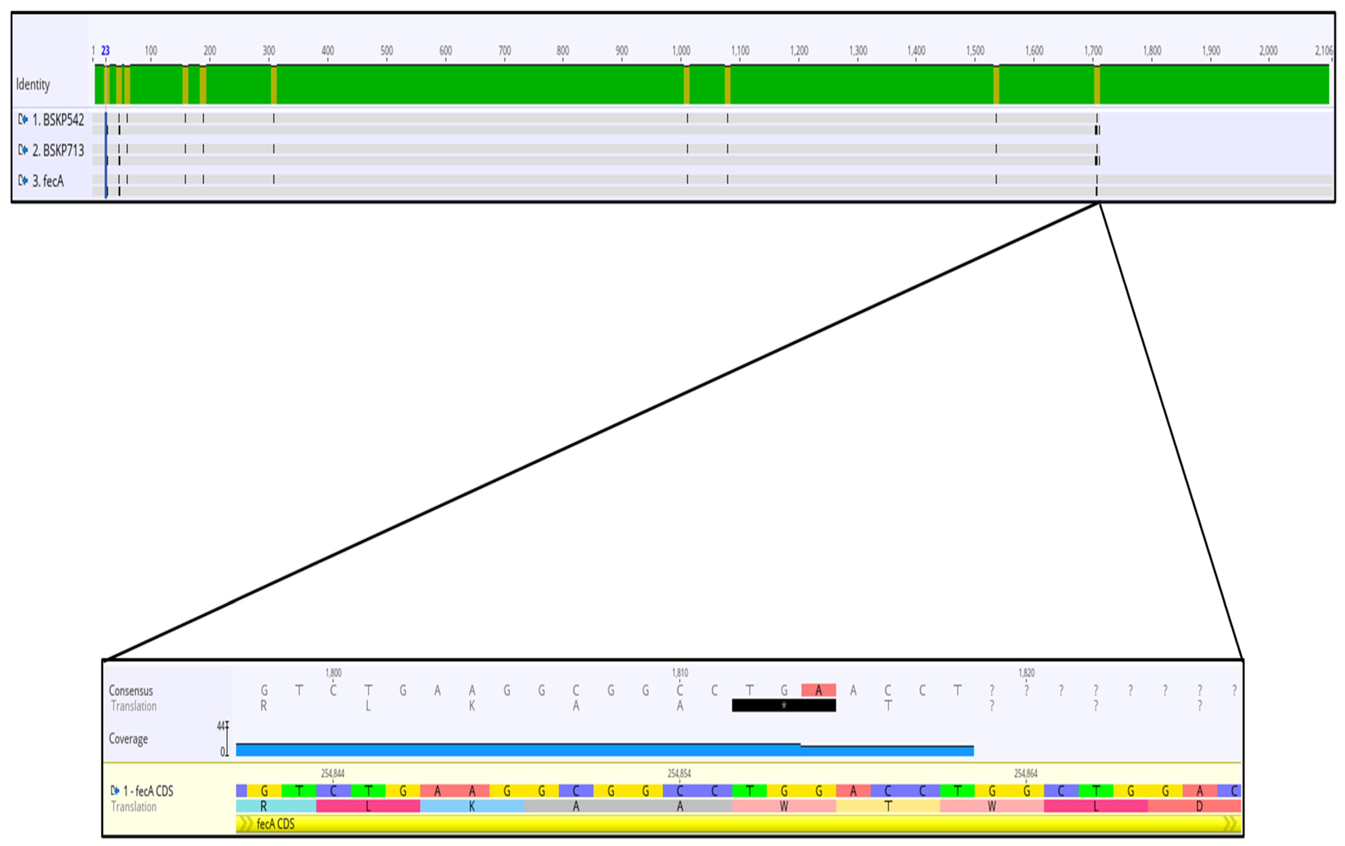 Antibiotics 12 00785 g002