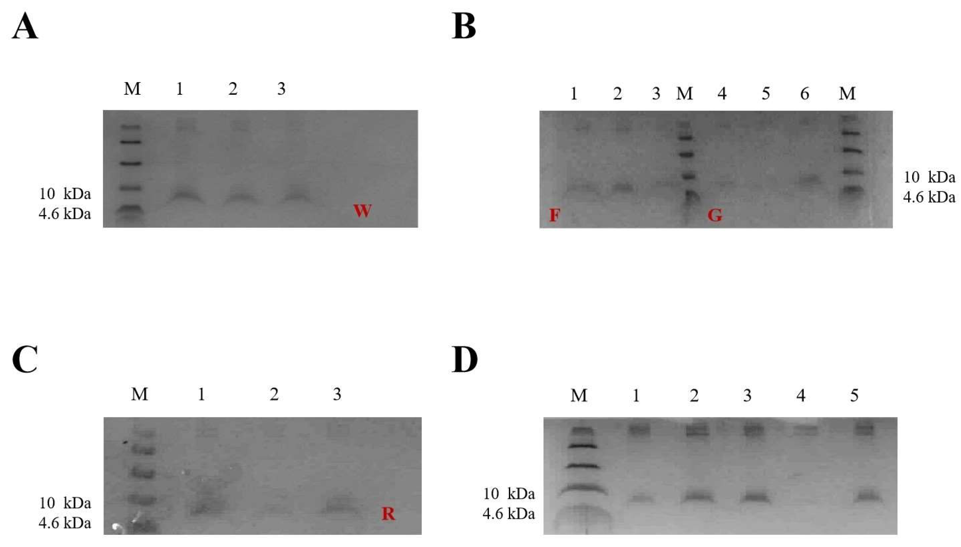 Antibiotics 12 00786 g003