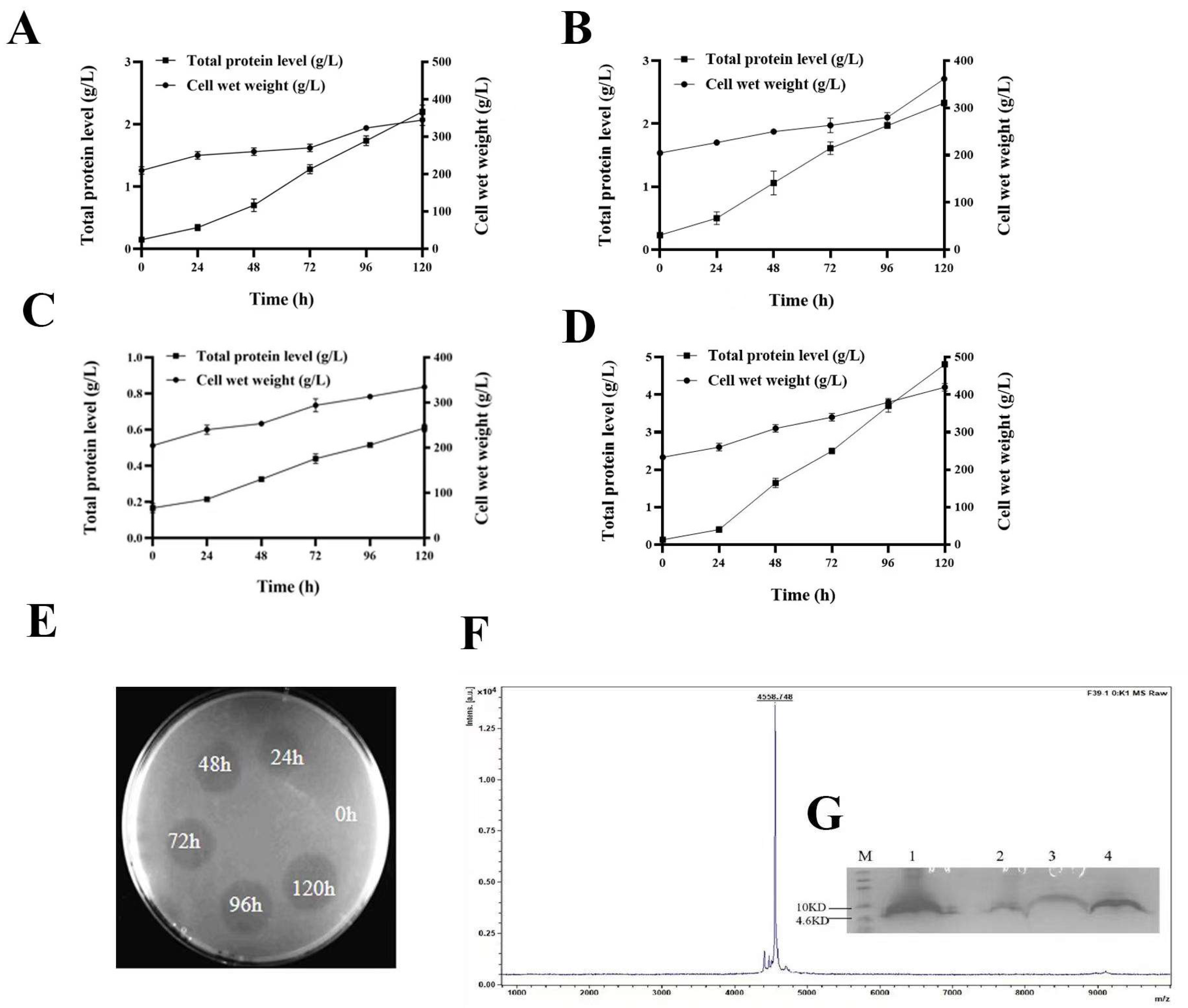 Antibiotics 12 00786 g004