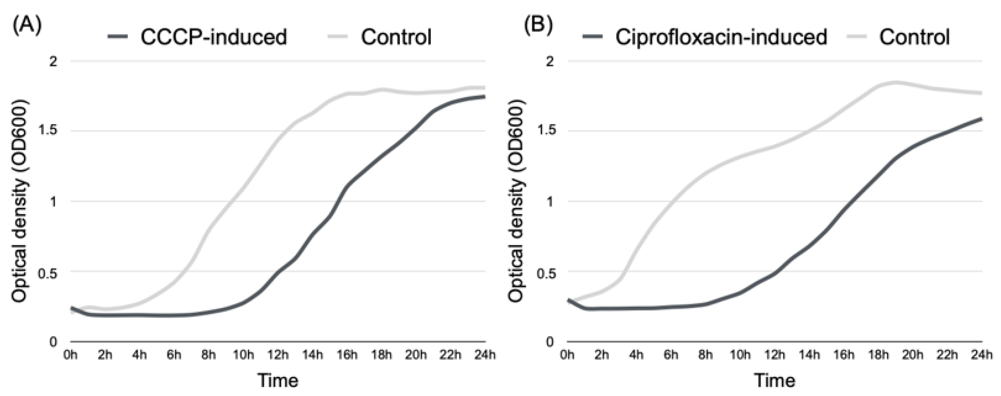 Antibiotics 12 00794 g001