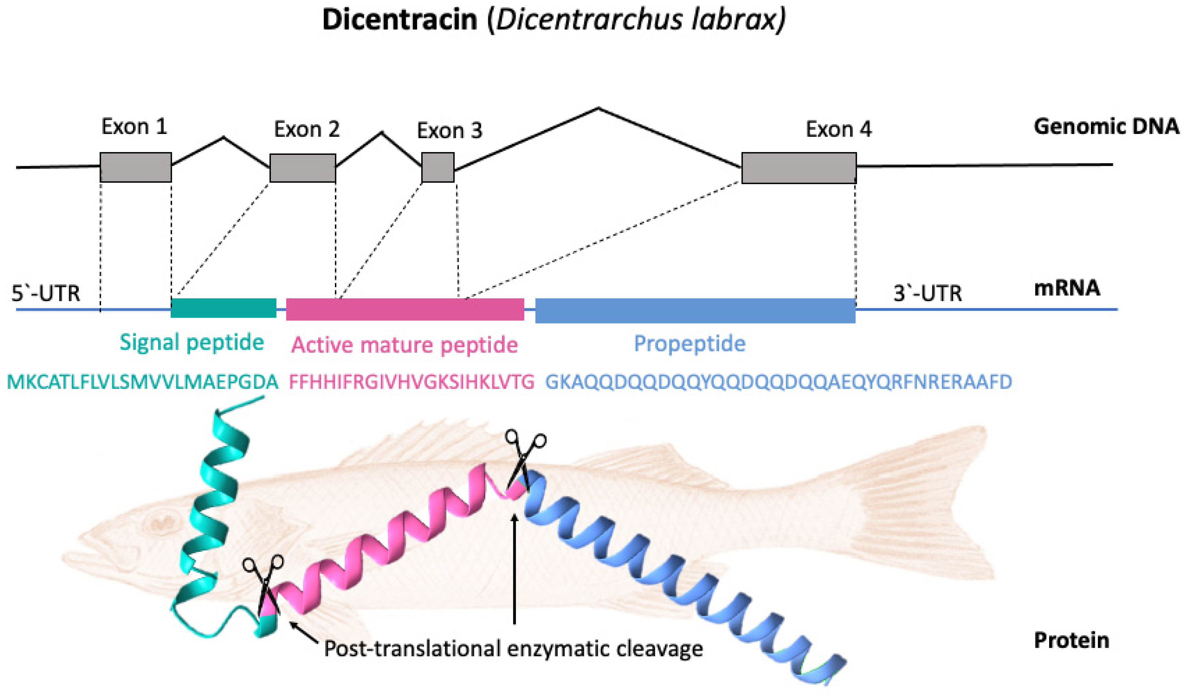 Antibiotics 12 00855 g003