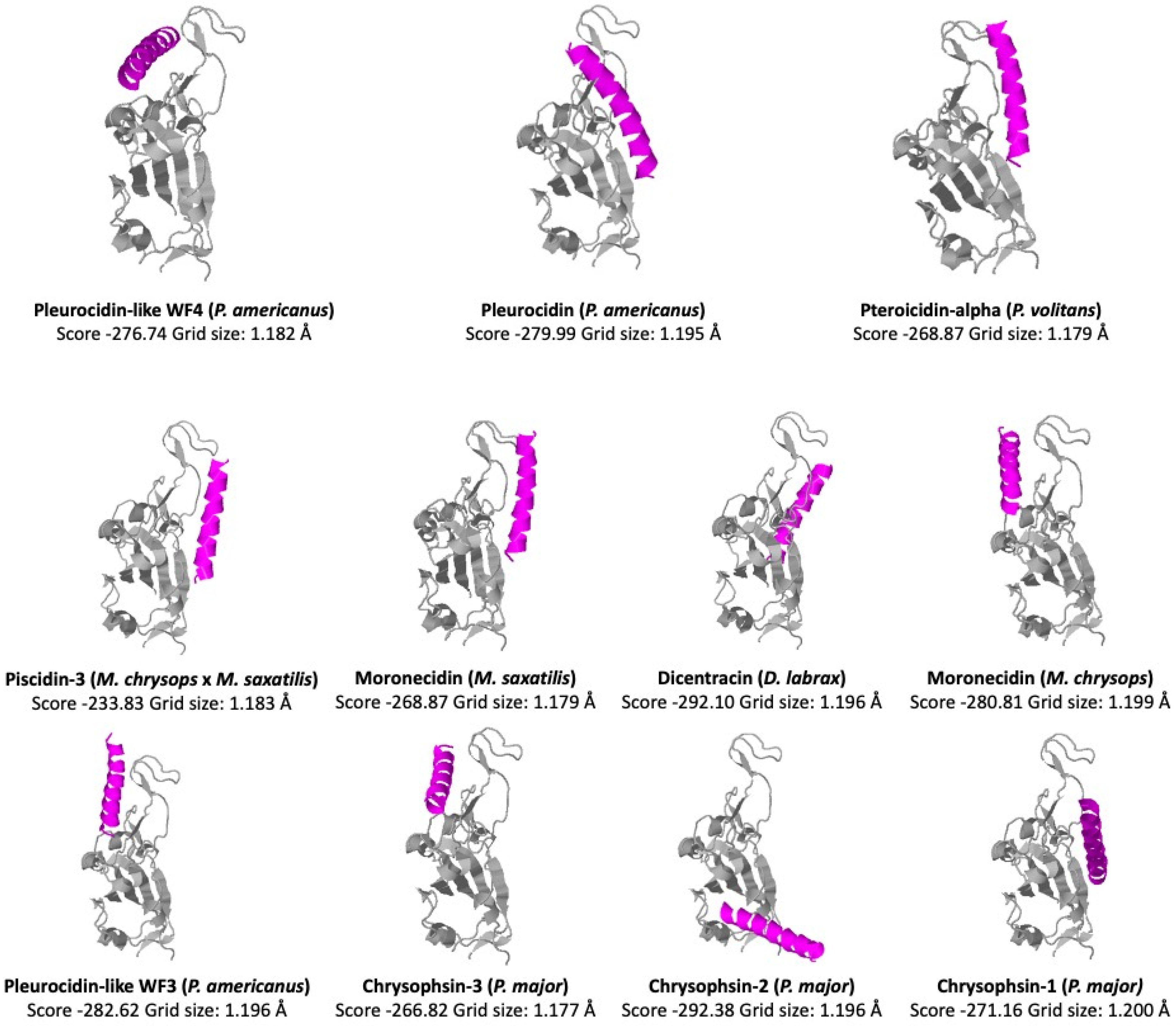 Antibiotics 12 00855 g008