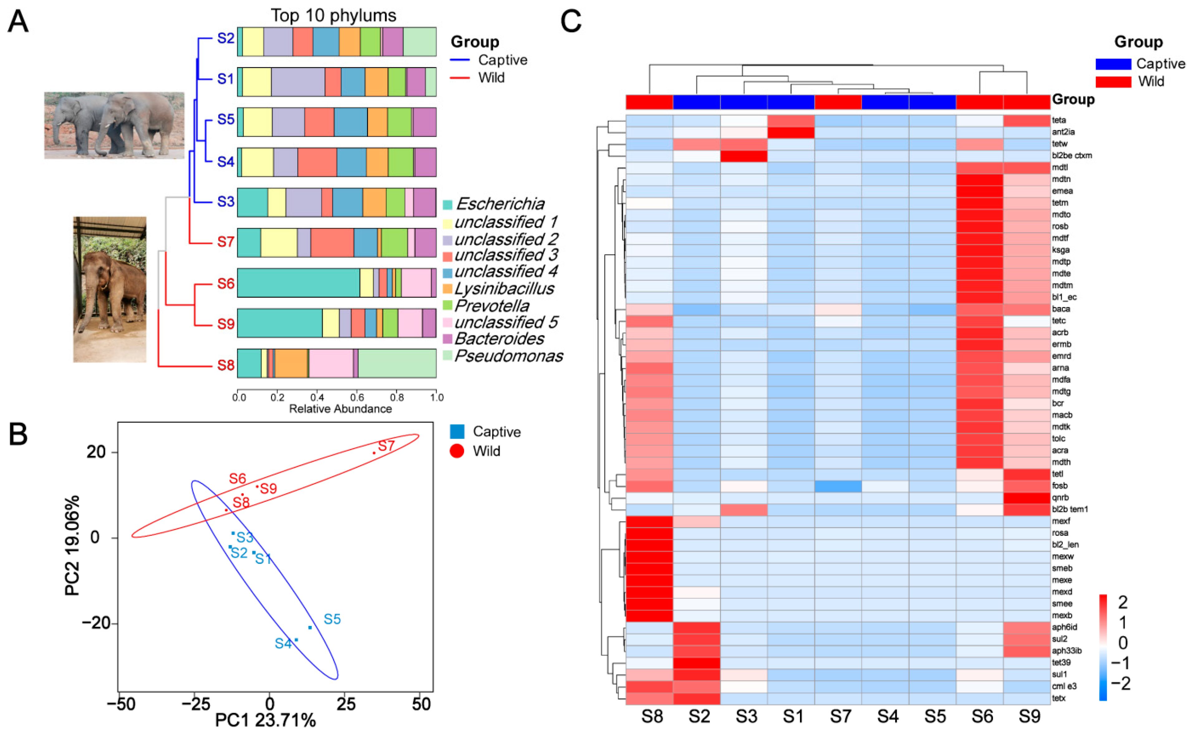 Antibiotics 12 00859 g001 Antibiotics 12 00859 g001