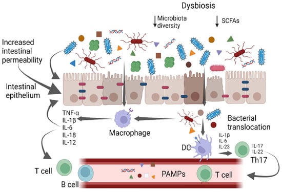 Antibiotics | Free Full-Text | Future Modulation Of Gut Microbiota ...